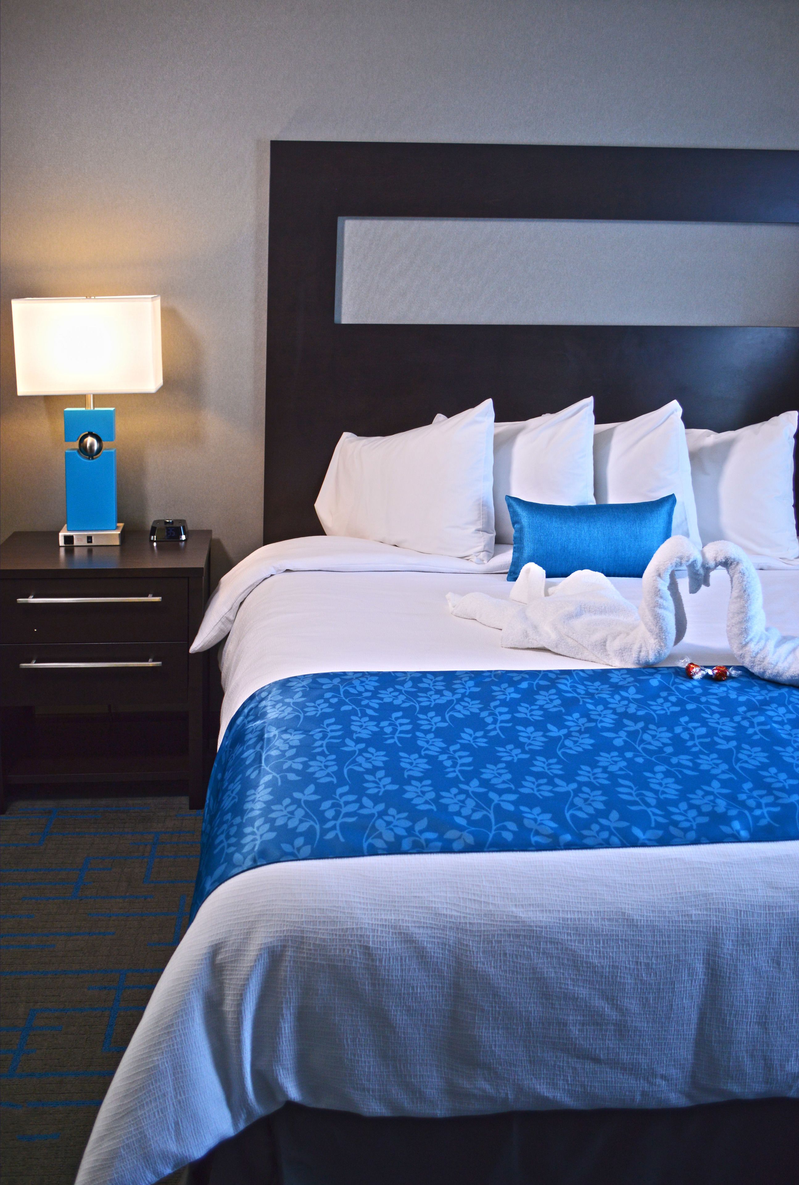 Suite, 1 Queen Bed, Roll-in Shower (Mobility Accessible)
