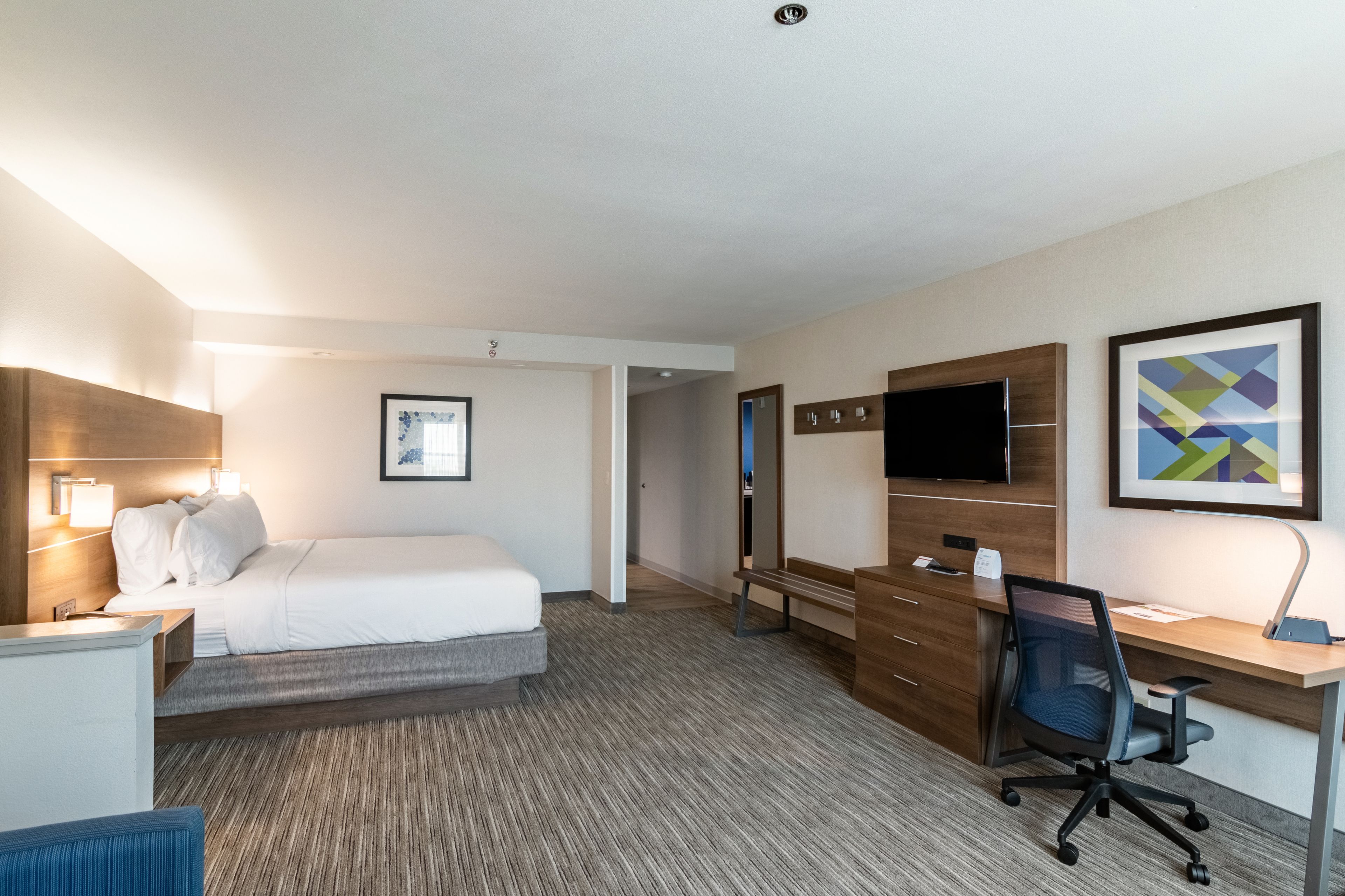 Suite, 1 King Bed with Sofa bed