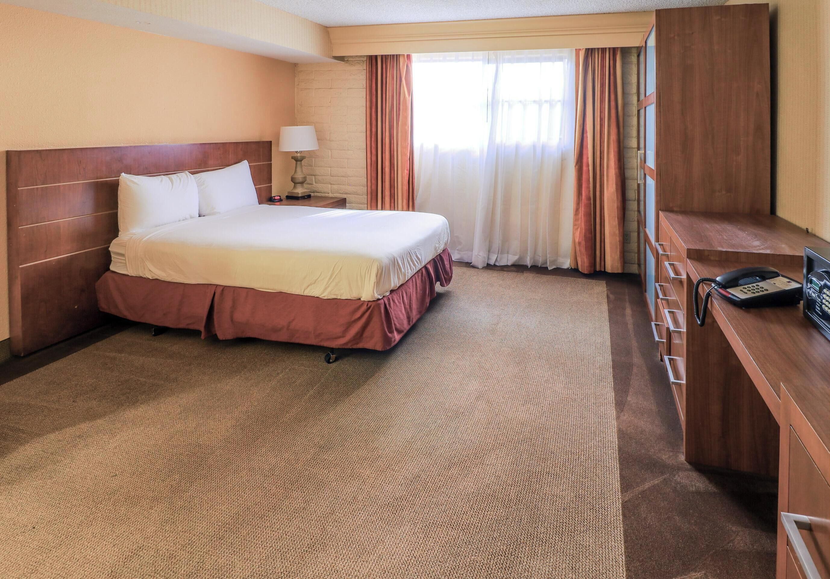 Deluxe Room, 1 Double Bed, Non Smoking