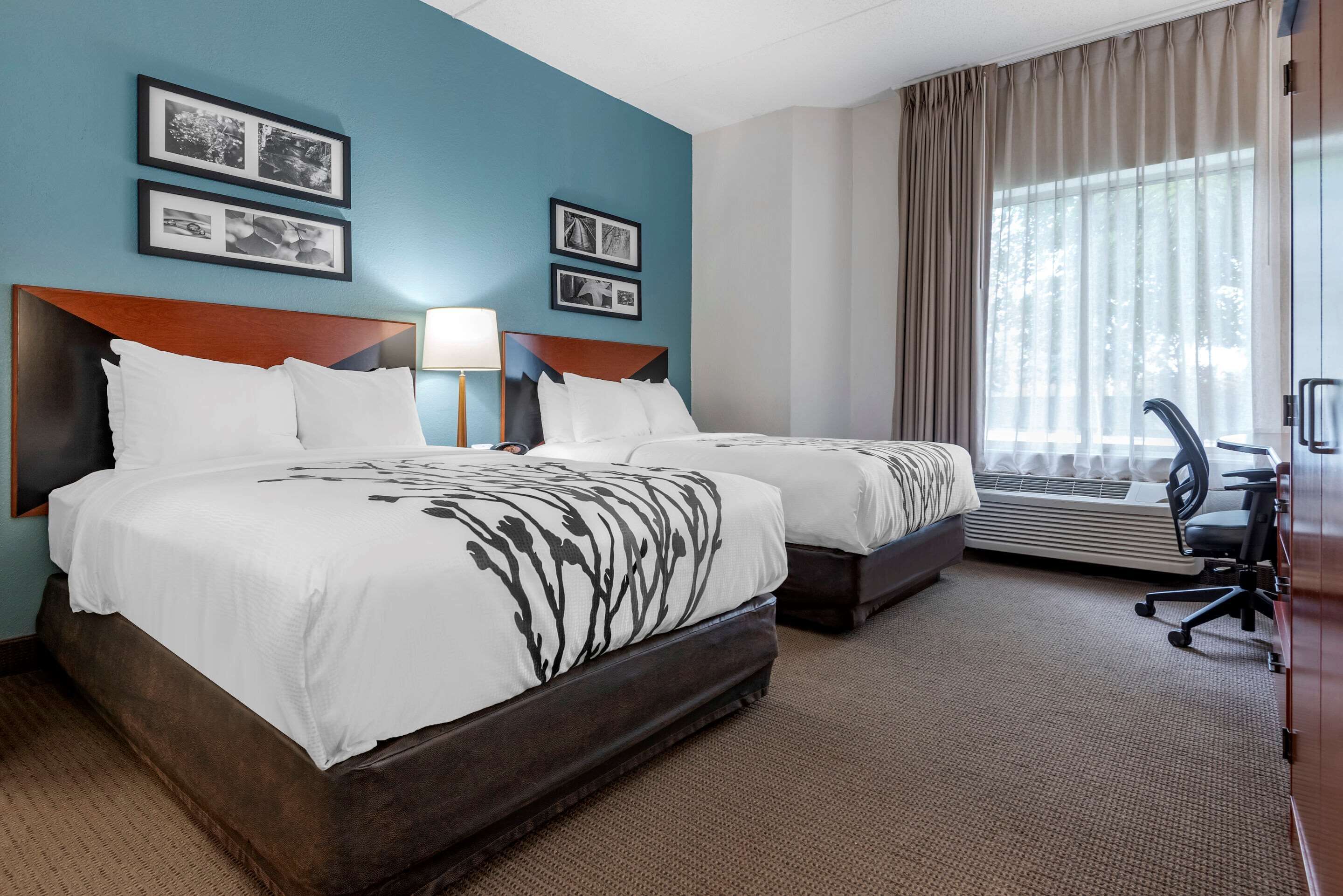 Standard Double Room, 2 Double Beds, Non Smoking