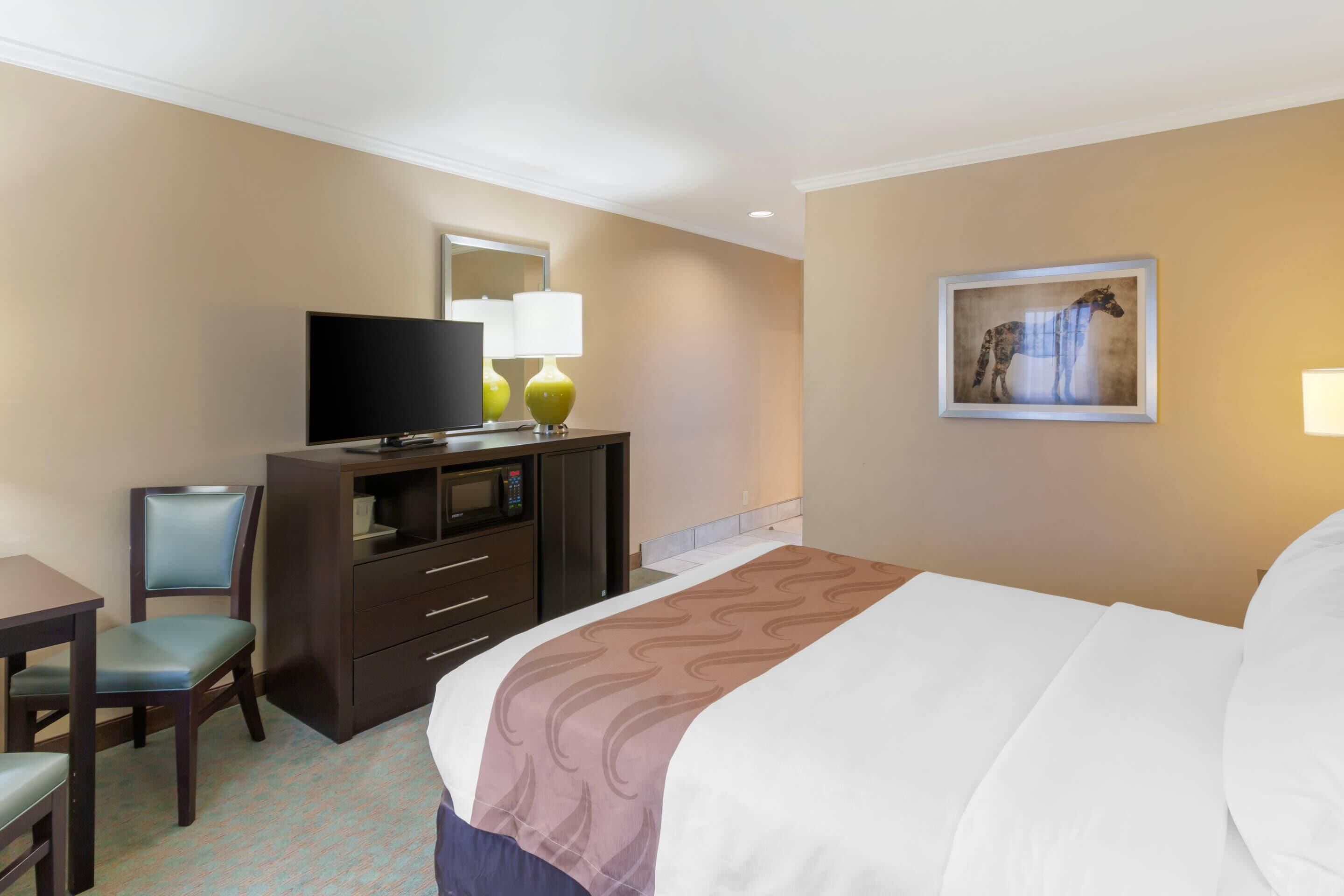 Basic Room, 1 Queen Bed, Accessible, Non Smoking