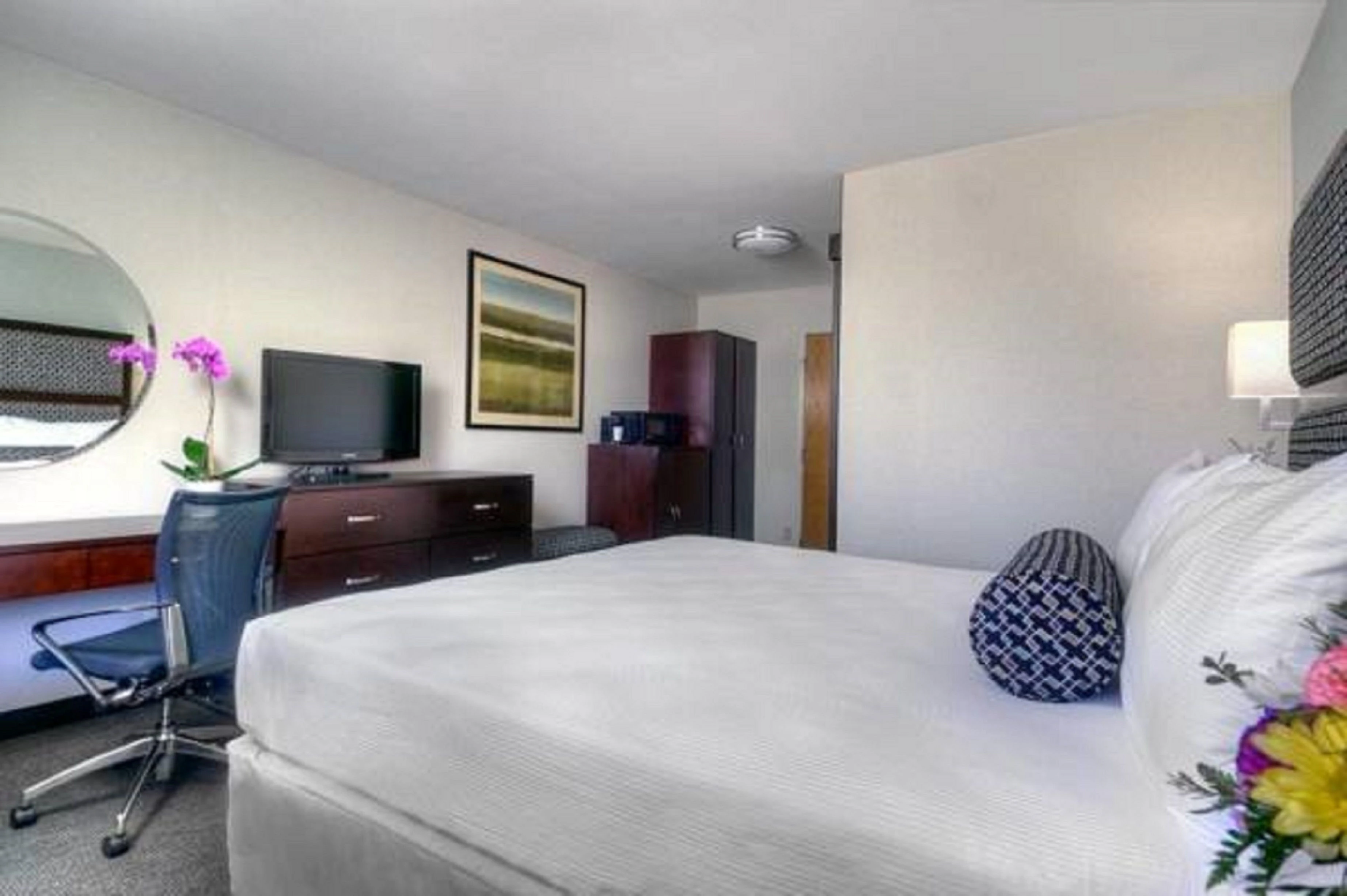 Room, 1 King Bed, Accessible