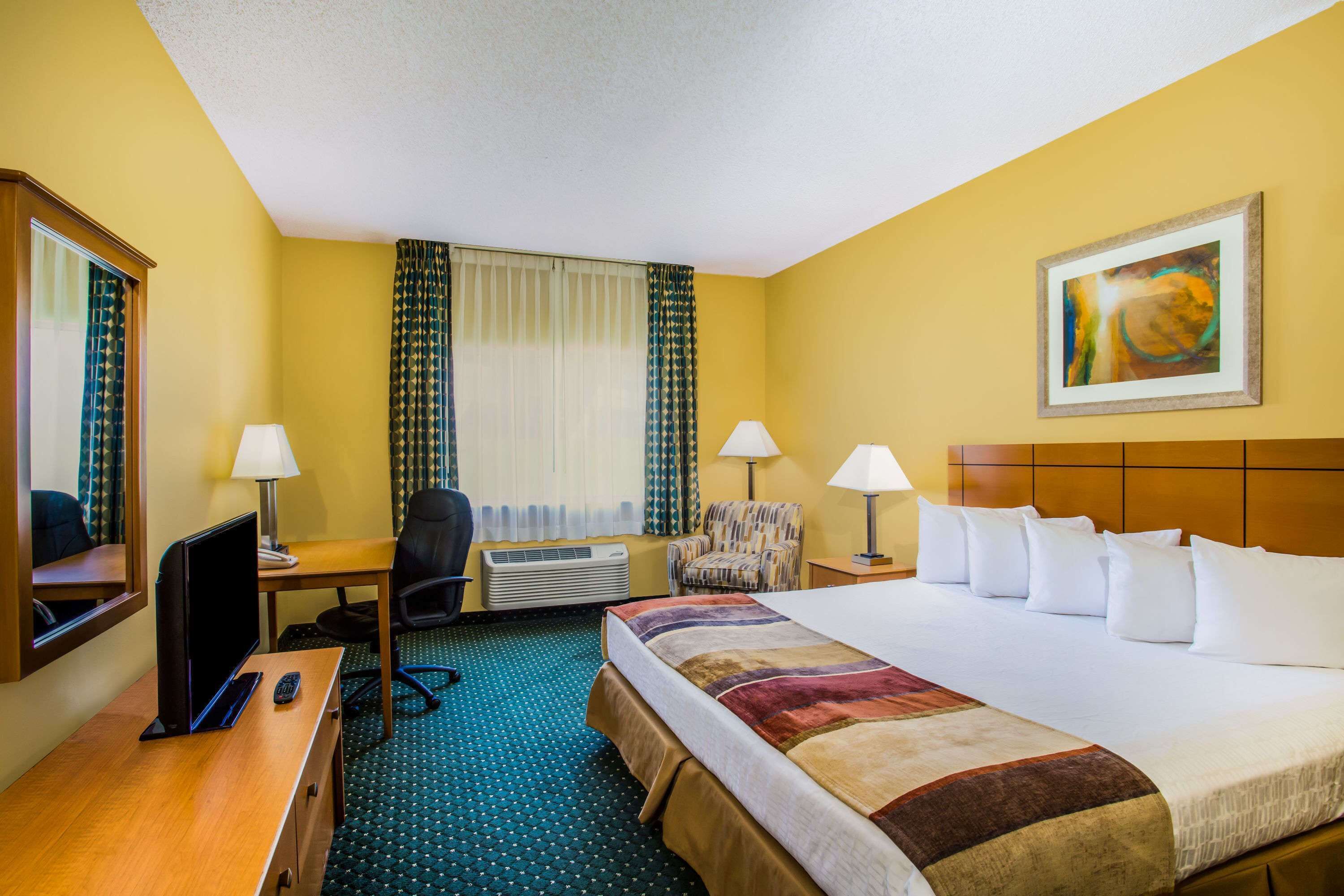 Room, 1 King Bed, Non Smoking