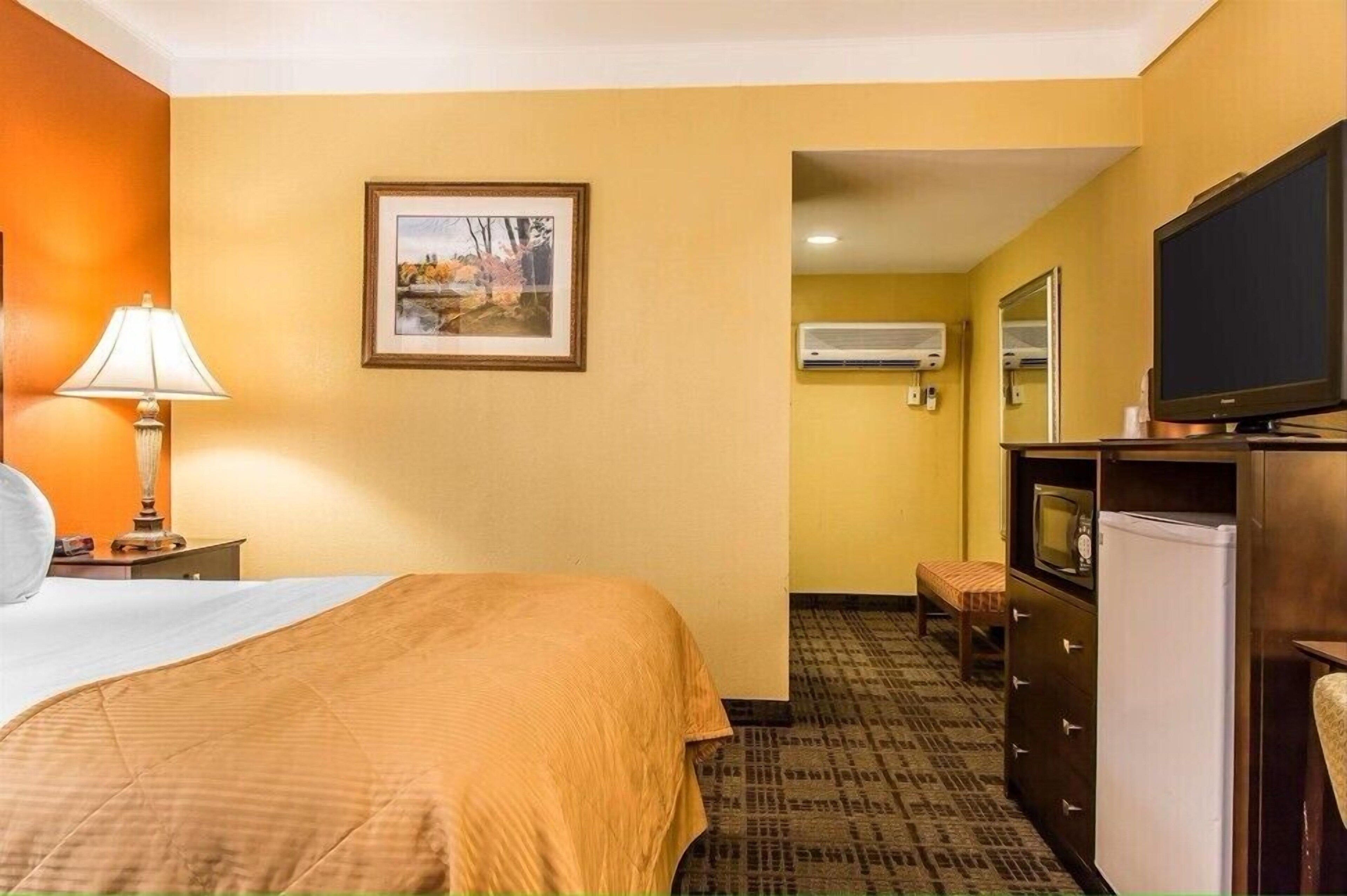 Basic Single Room