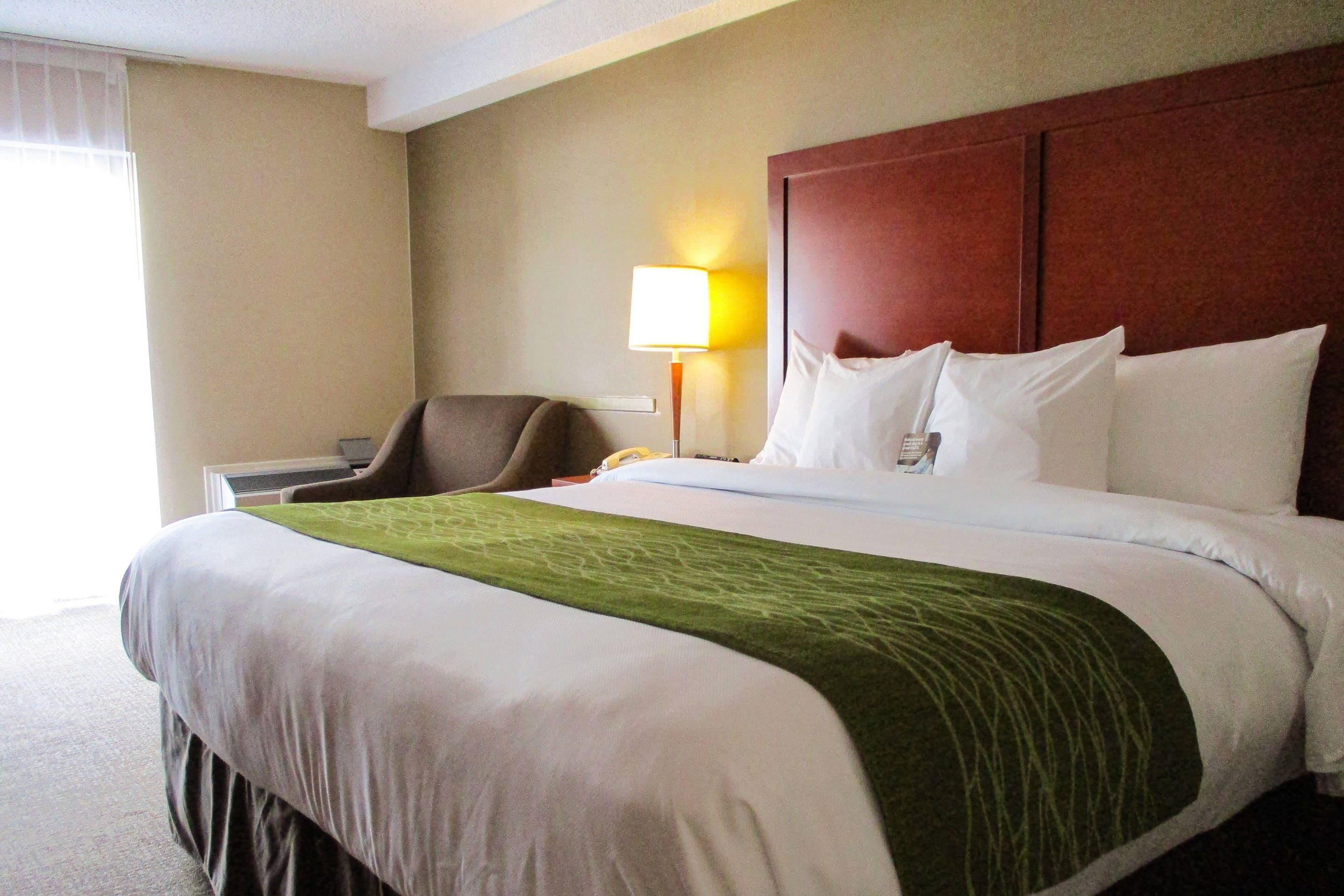 Room, 1 King Bed, Non Smoking
