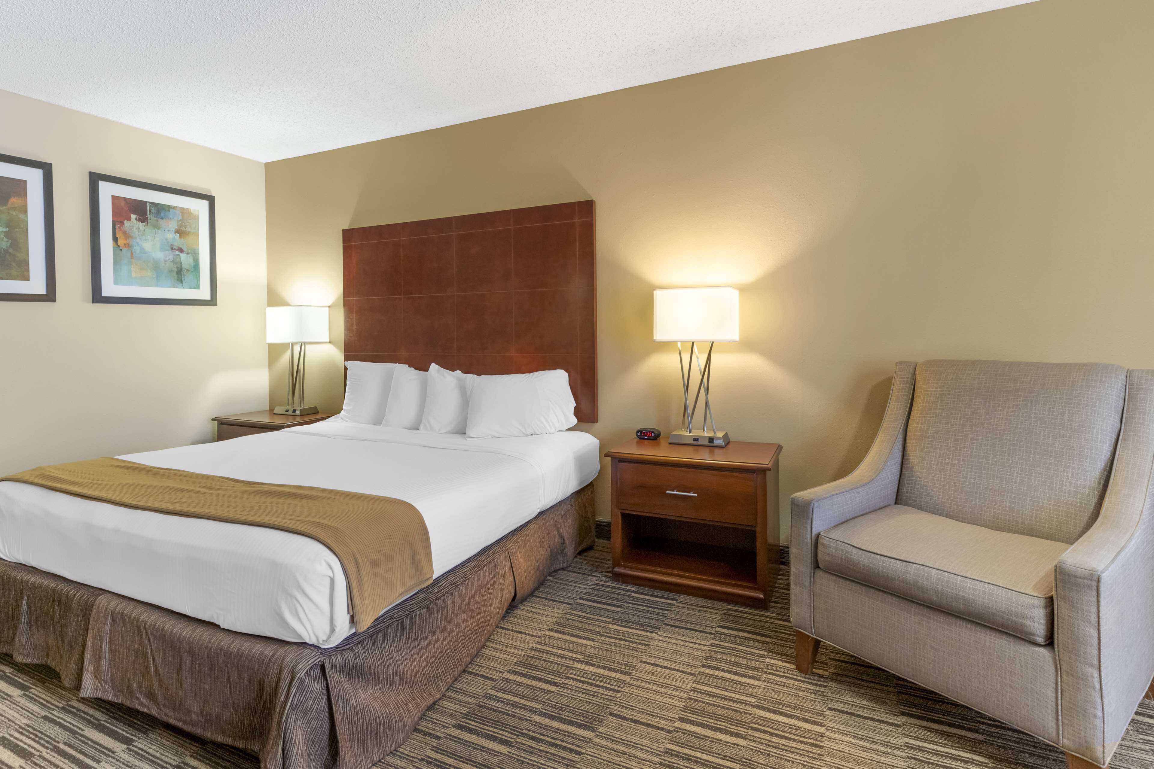 Standard Room, 1 King Bed, Non Smoking