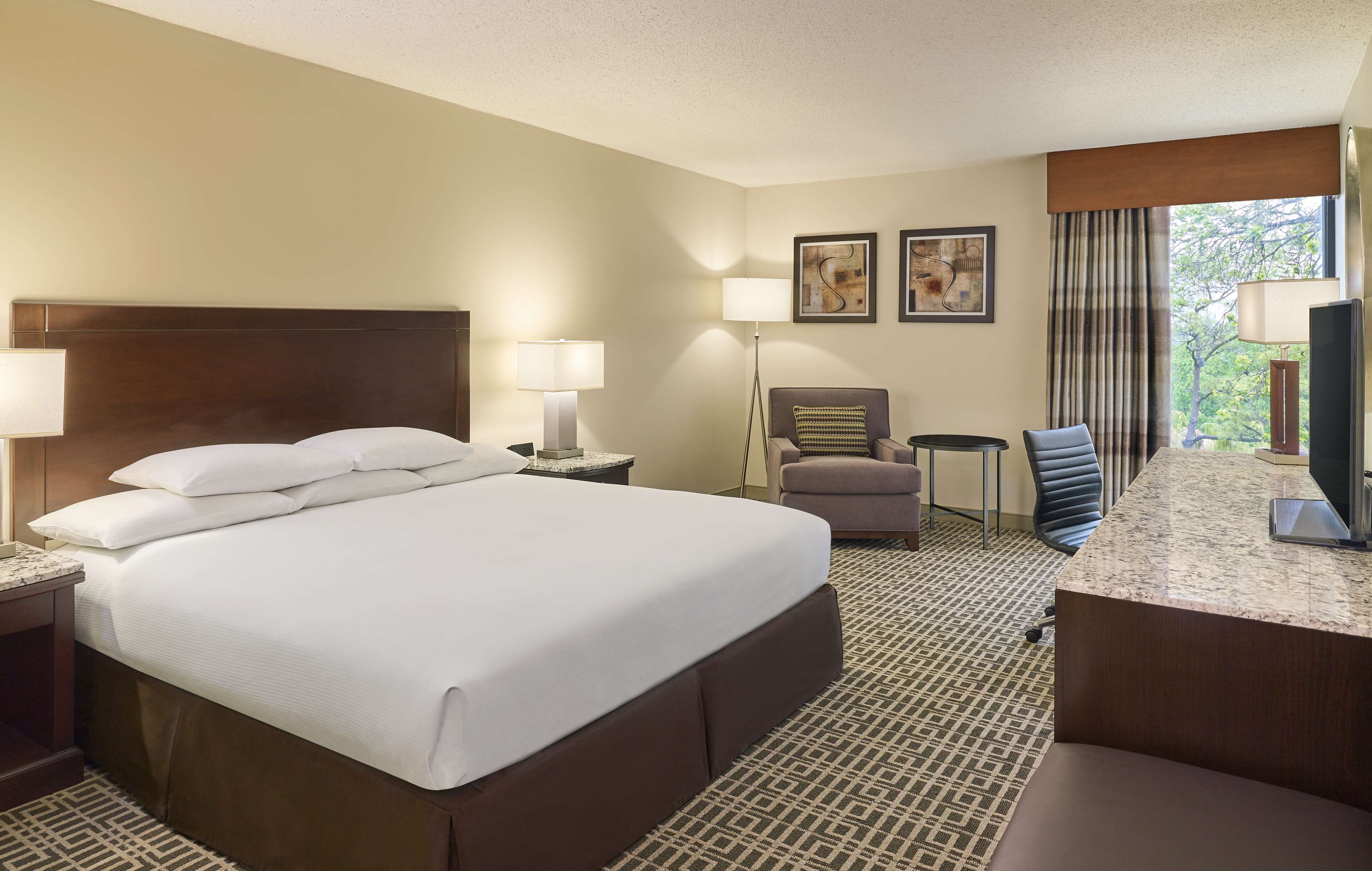 Room, 1 King Bed, Non Smoking