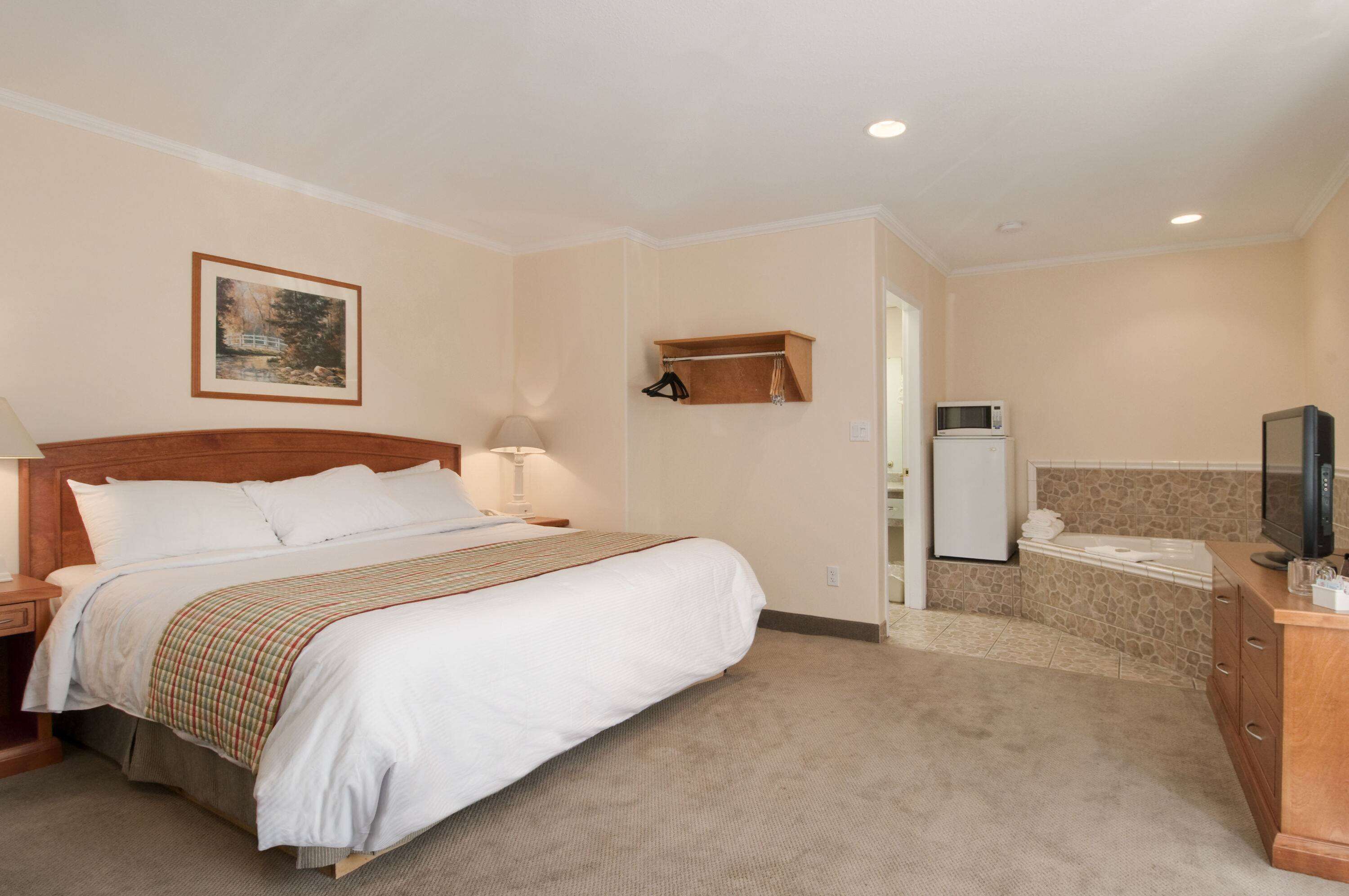 Room, 1 Queen Bed, Non Smoking (Efficiency)