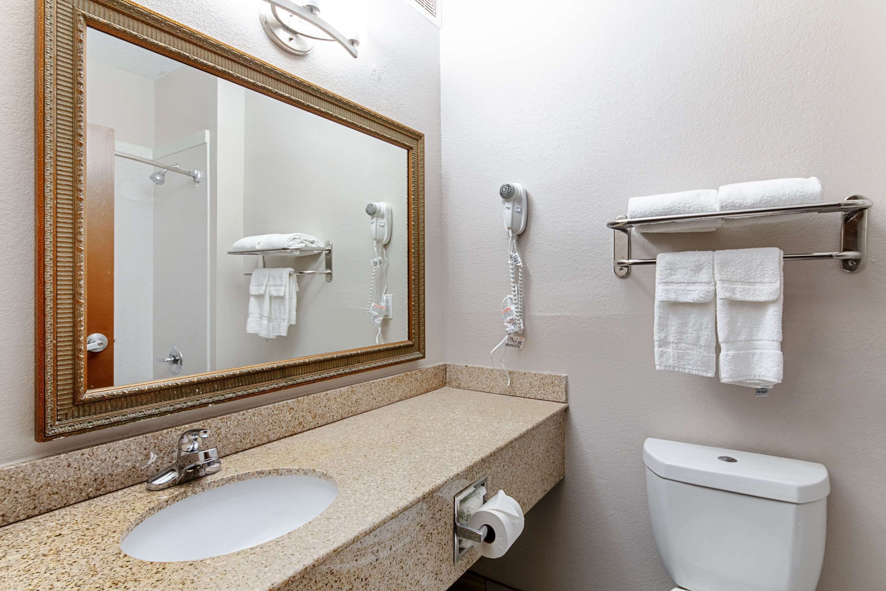 Suite, 1 King Bed