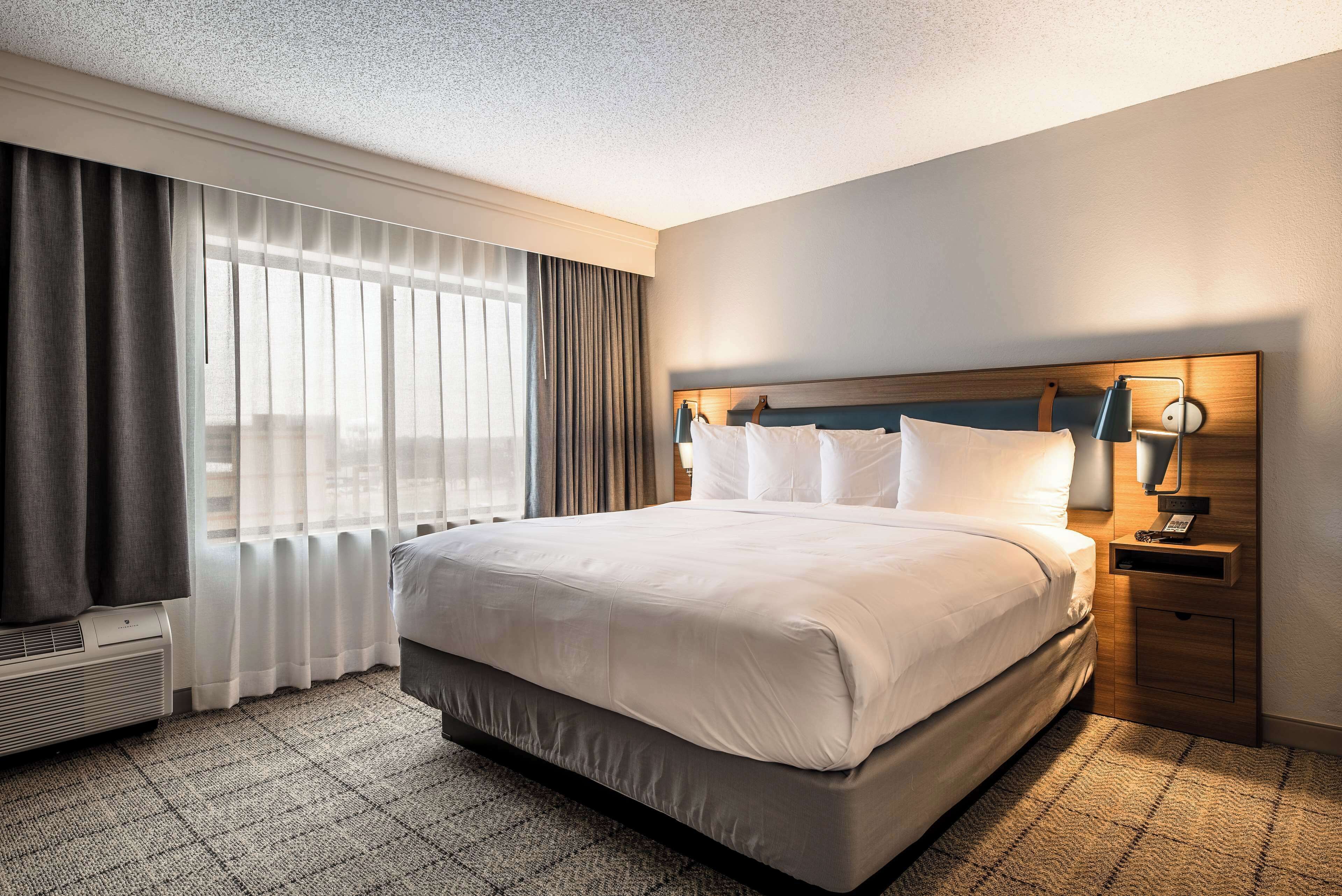 Superior Suite, 1 King Bed with Sofa bed (One Bedroom)