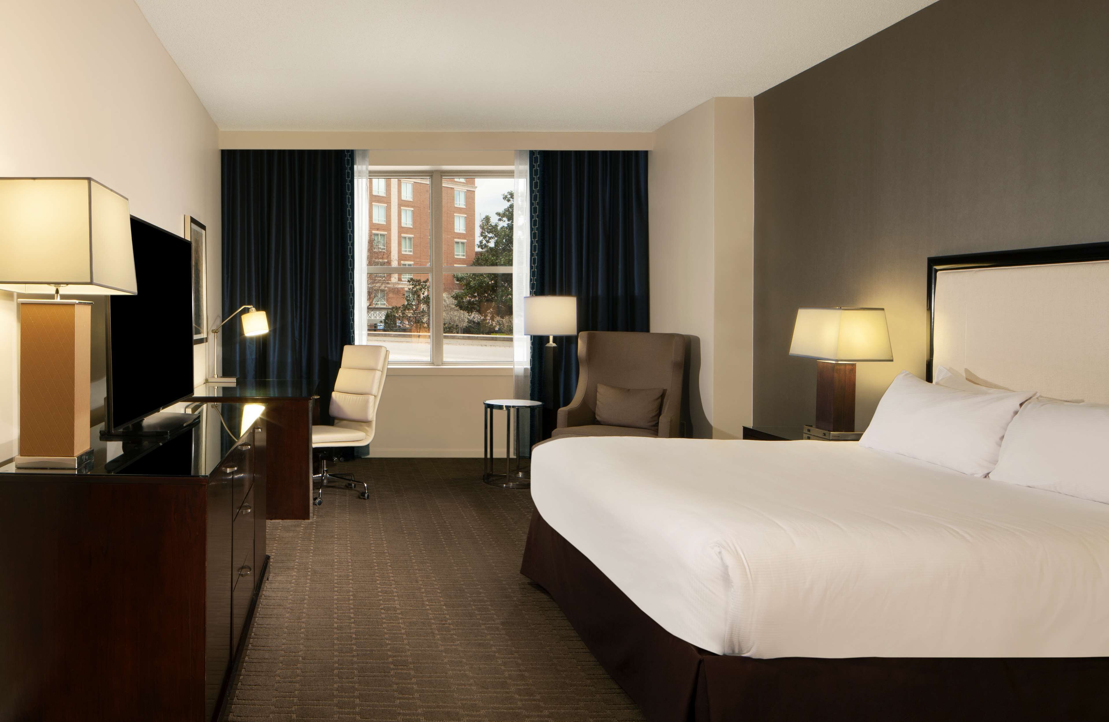 Room, 1 King Bed