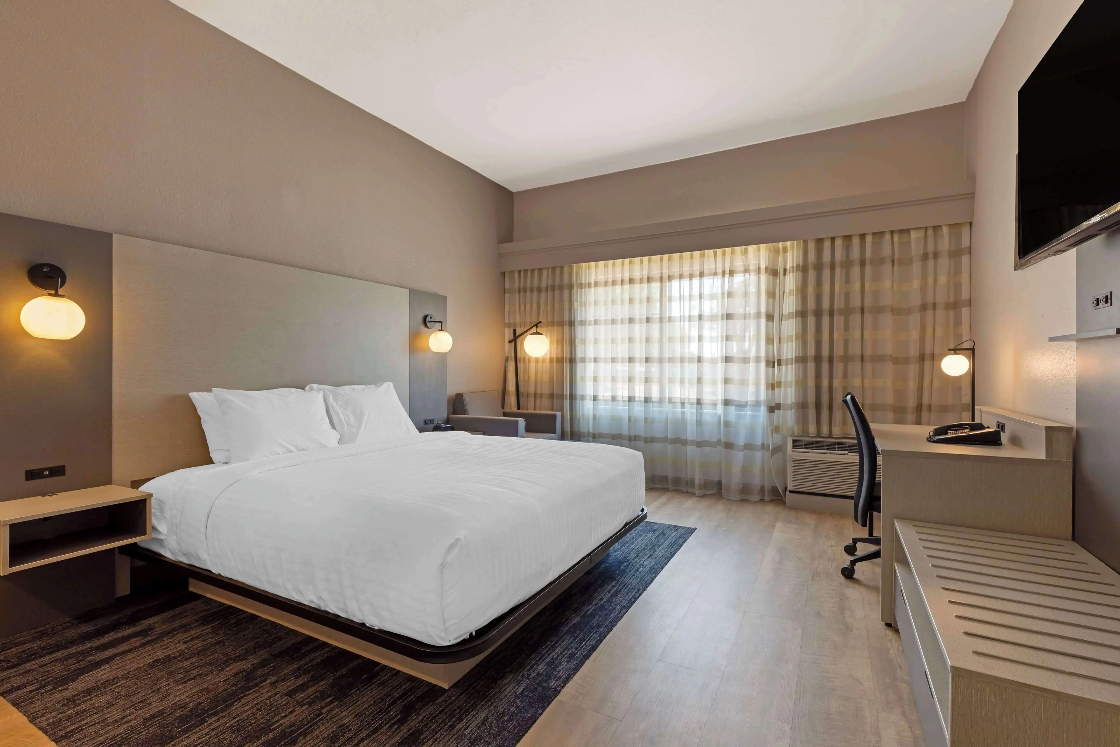 Standard Room, 1 King Bed, Accessible, Refrigerator & Microwave Standard Room, 1 King Bed, Accessible, Refrigerator & Microwave