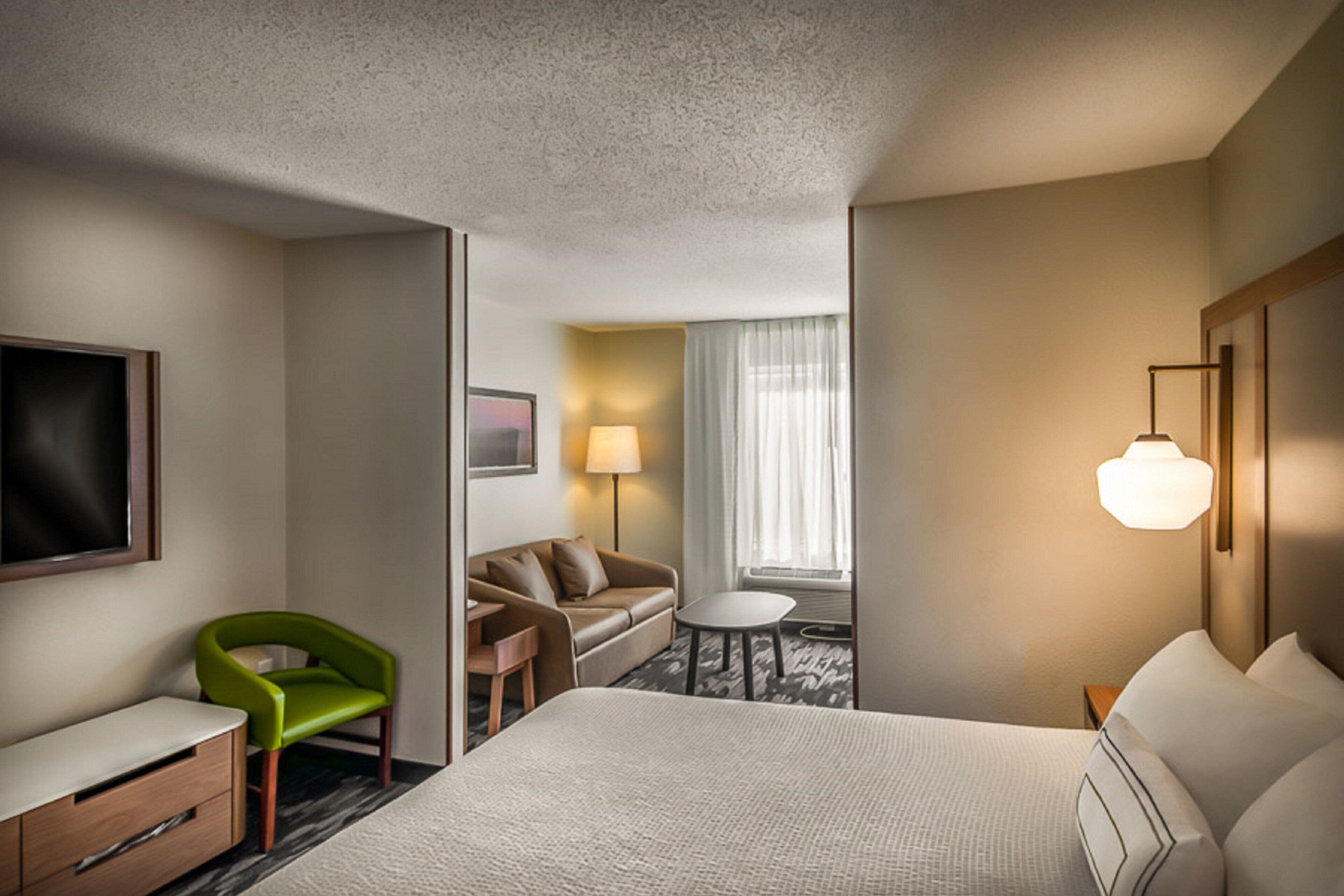 Suite, 1 King Bed with Sofa bed
