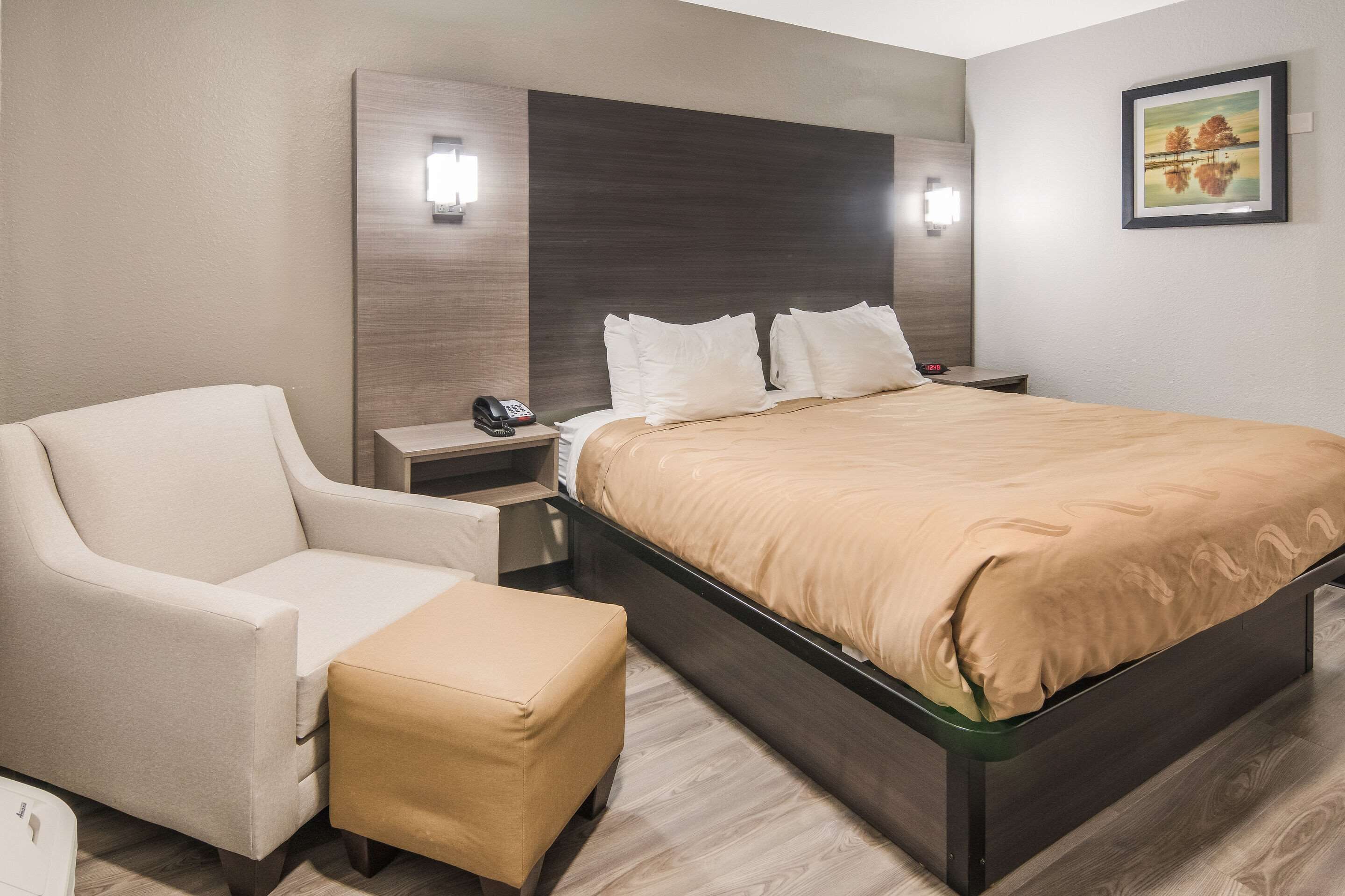 Room, 1 King Bed with Sofa bed, Smoking