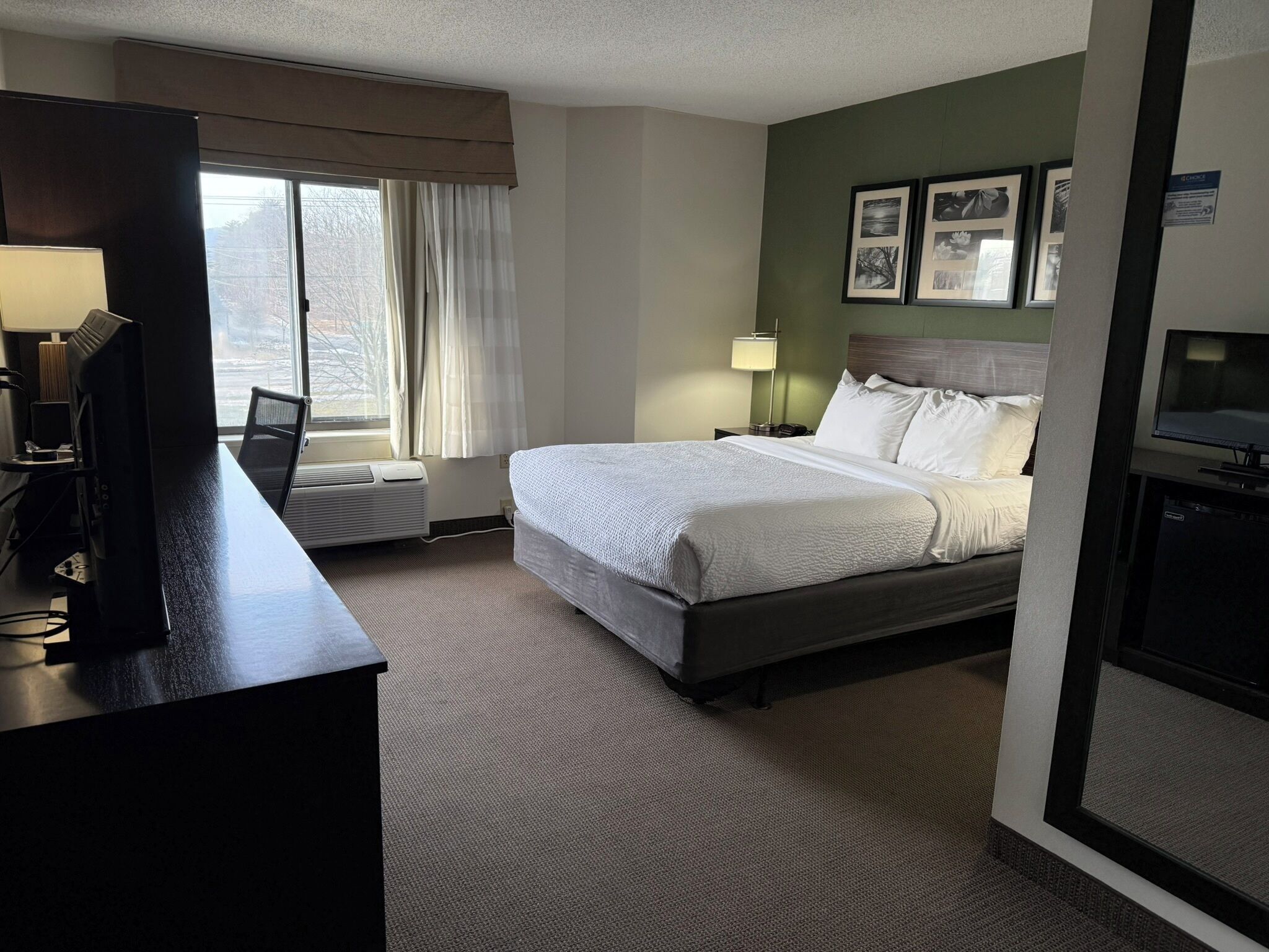 Room, 1 Queen Bed, Accessible, Non Smoking (Roll–In Shower)