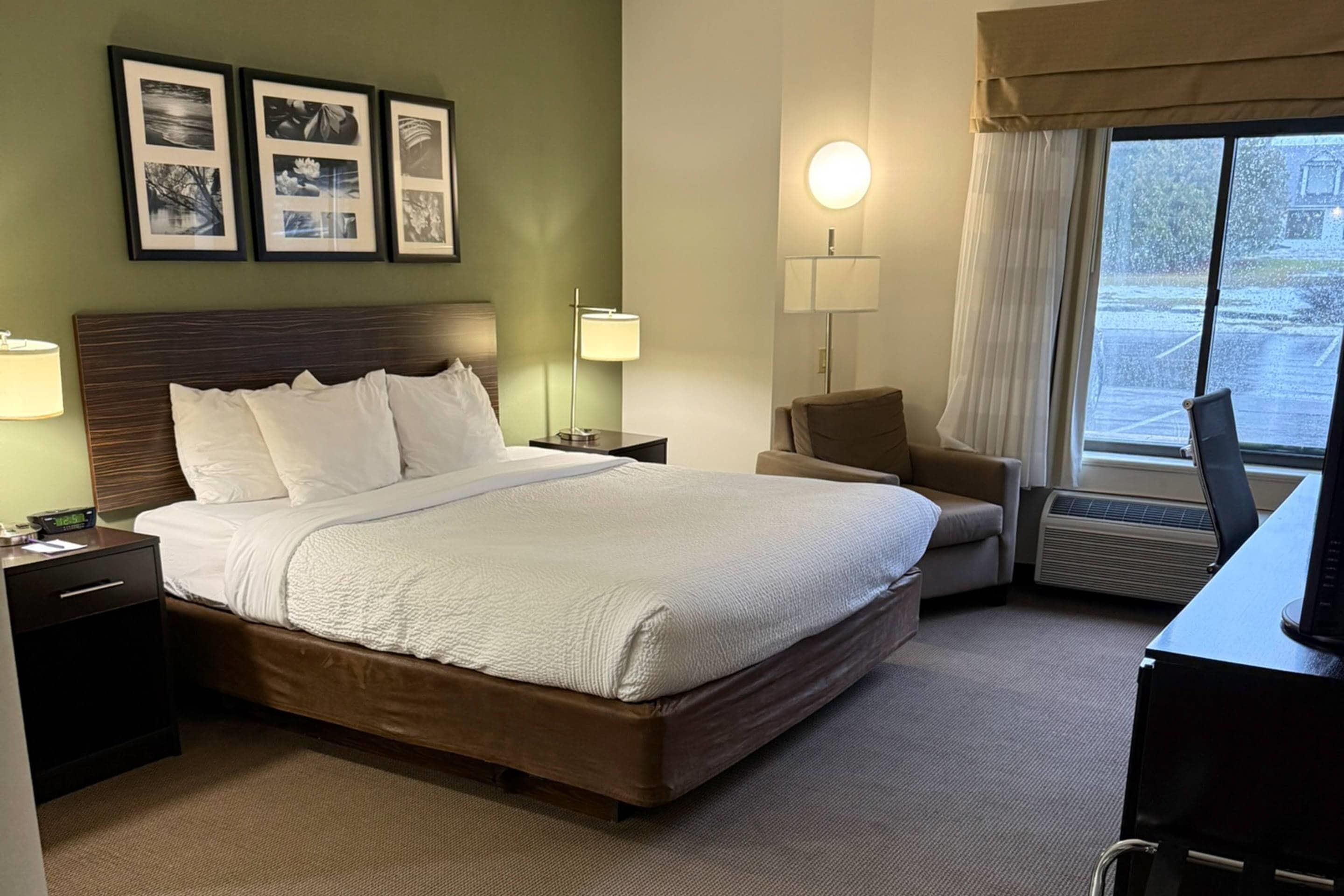 Standard Room, 1 King Bed, Non Smoking
