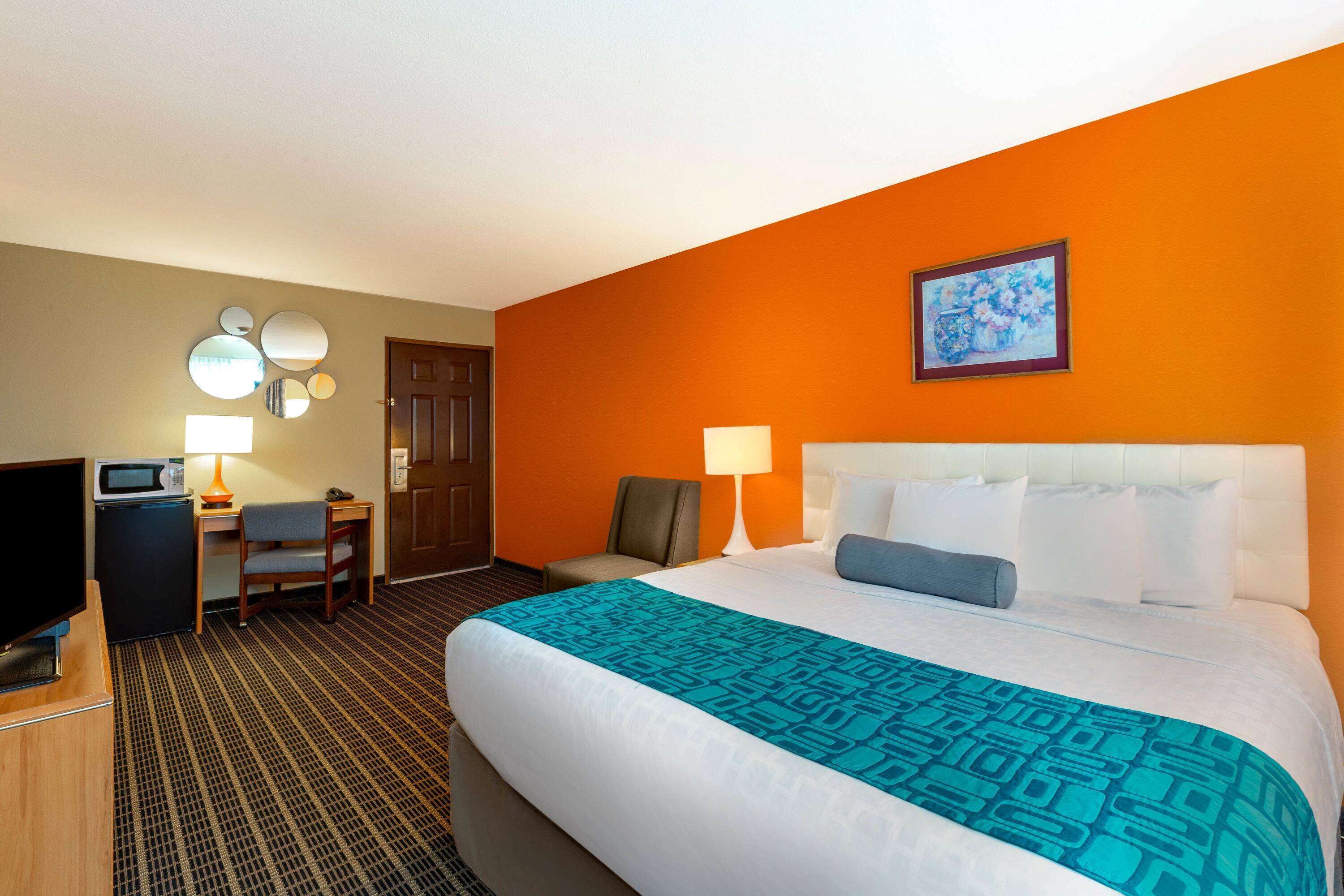 Room, 1 King Bed, Non Smoking (Pet Friendly)