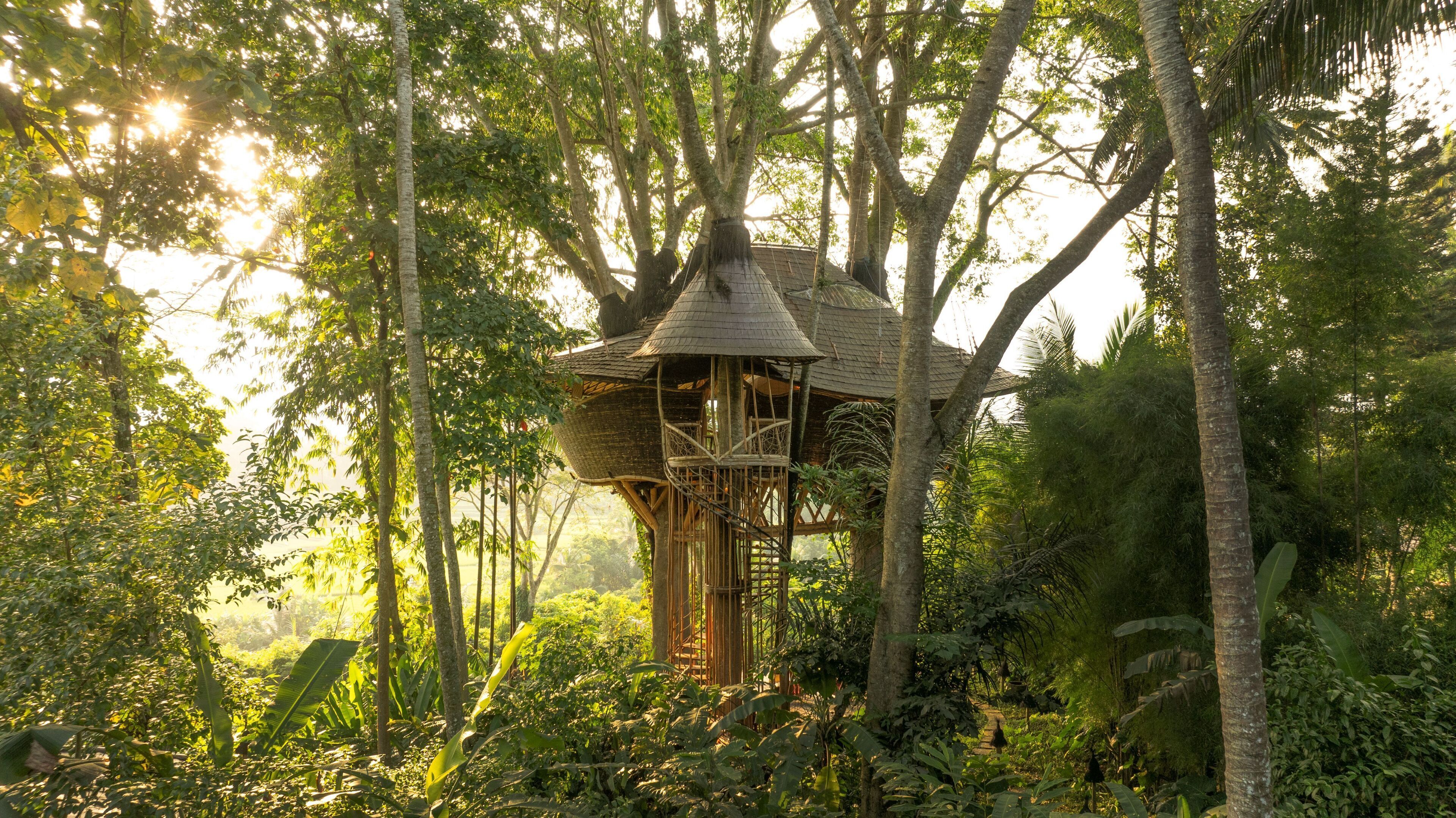 Tree House - One Bedroom Valley View