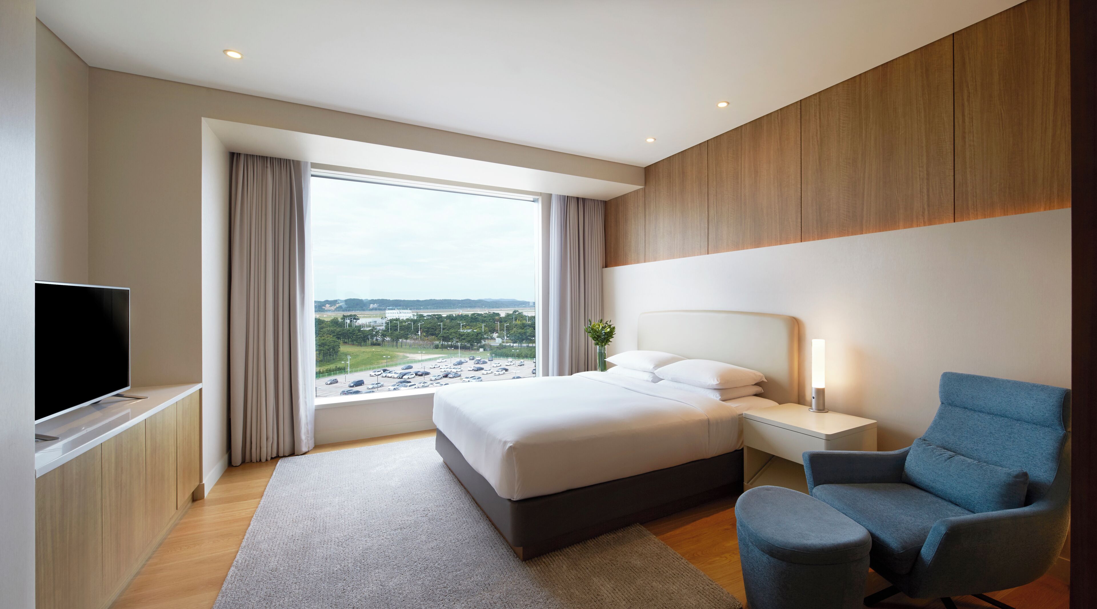 Room, 1 King Bed