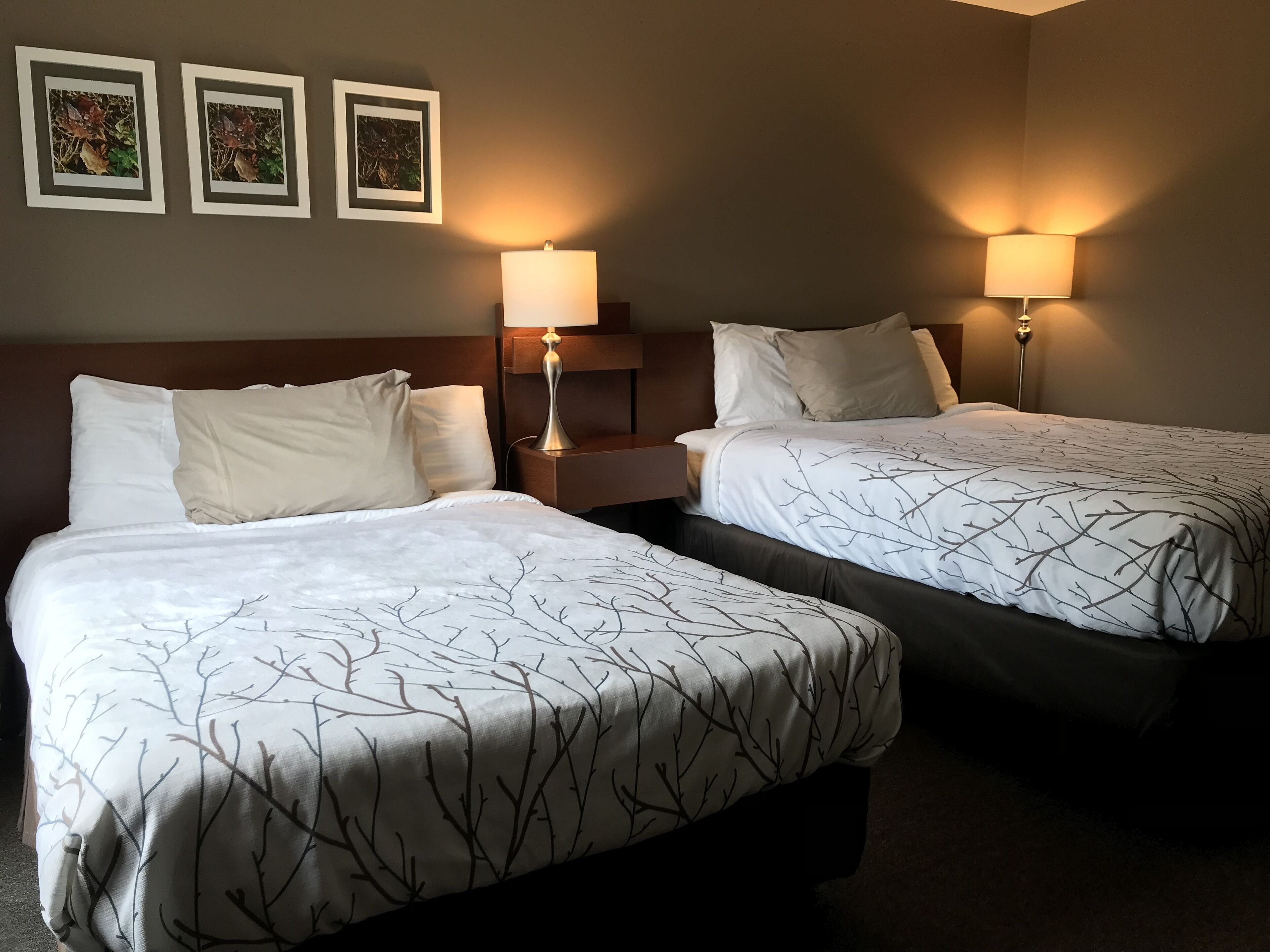Deluxe Double Room (No pets allowed w/ extra bed, easy water access)