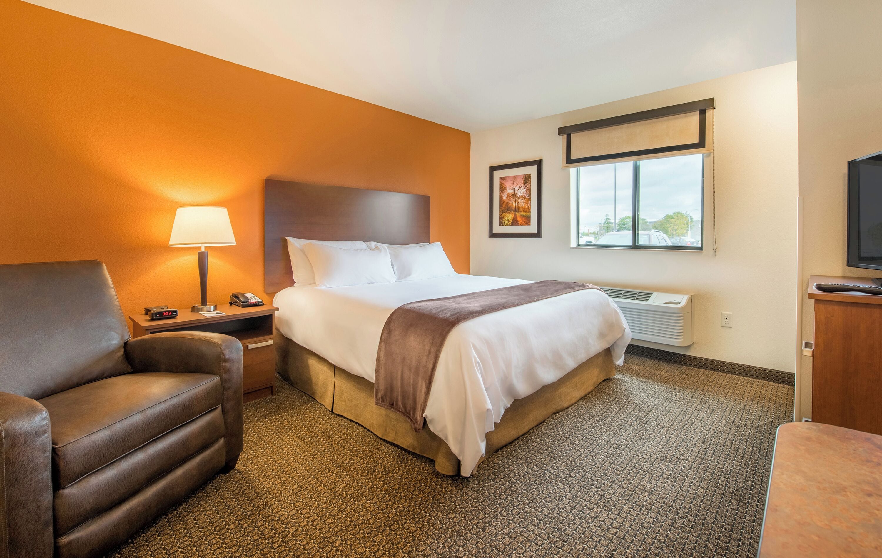 Room, 1 Queen Bed (Roll In Shower)