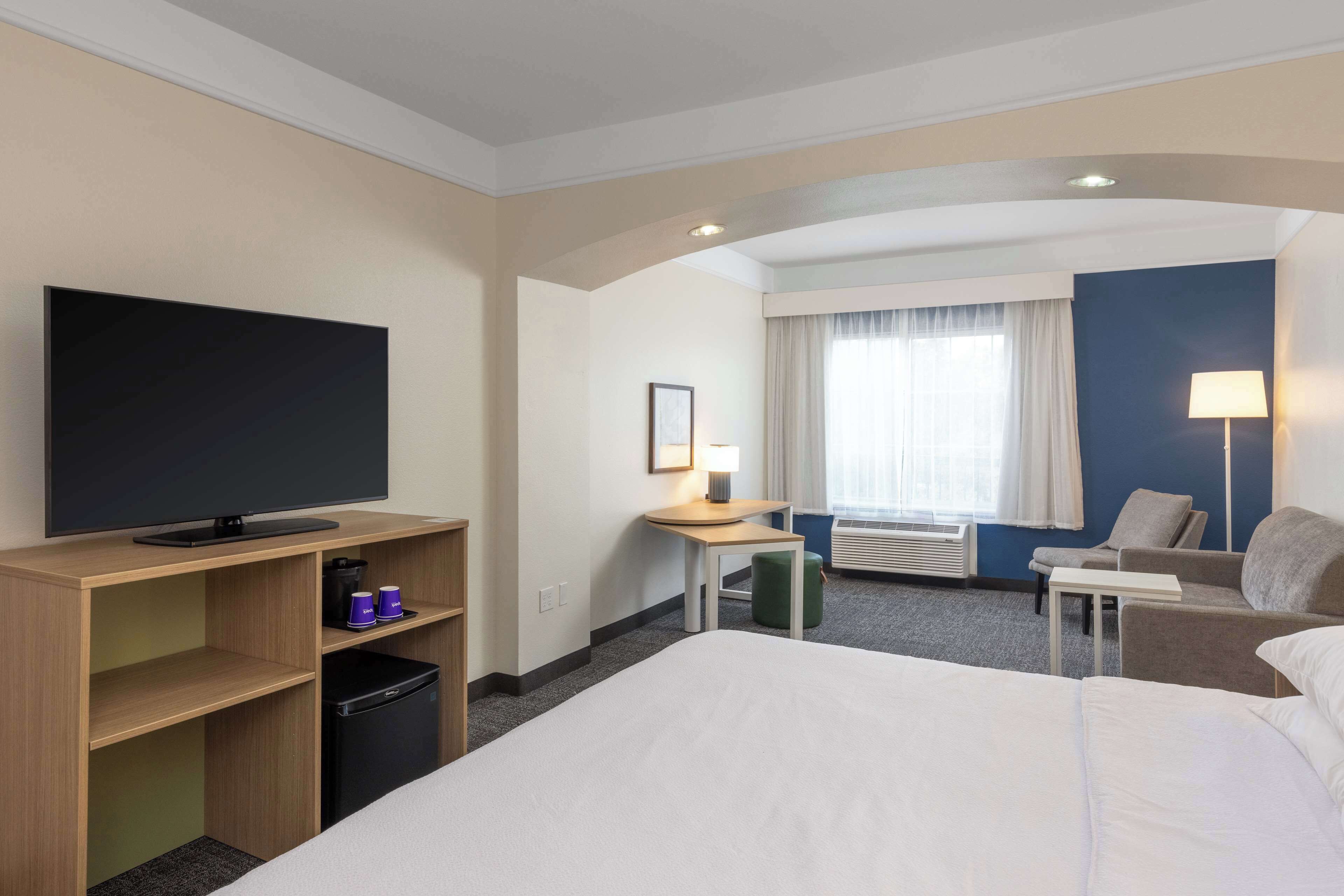 Room, 1 King Bed with Sofa bed