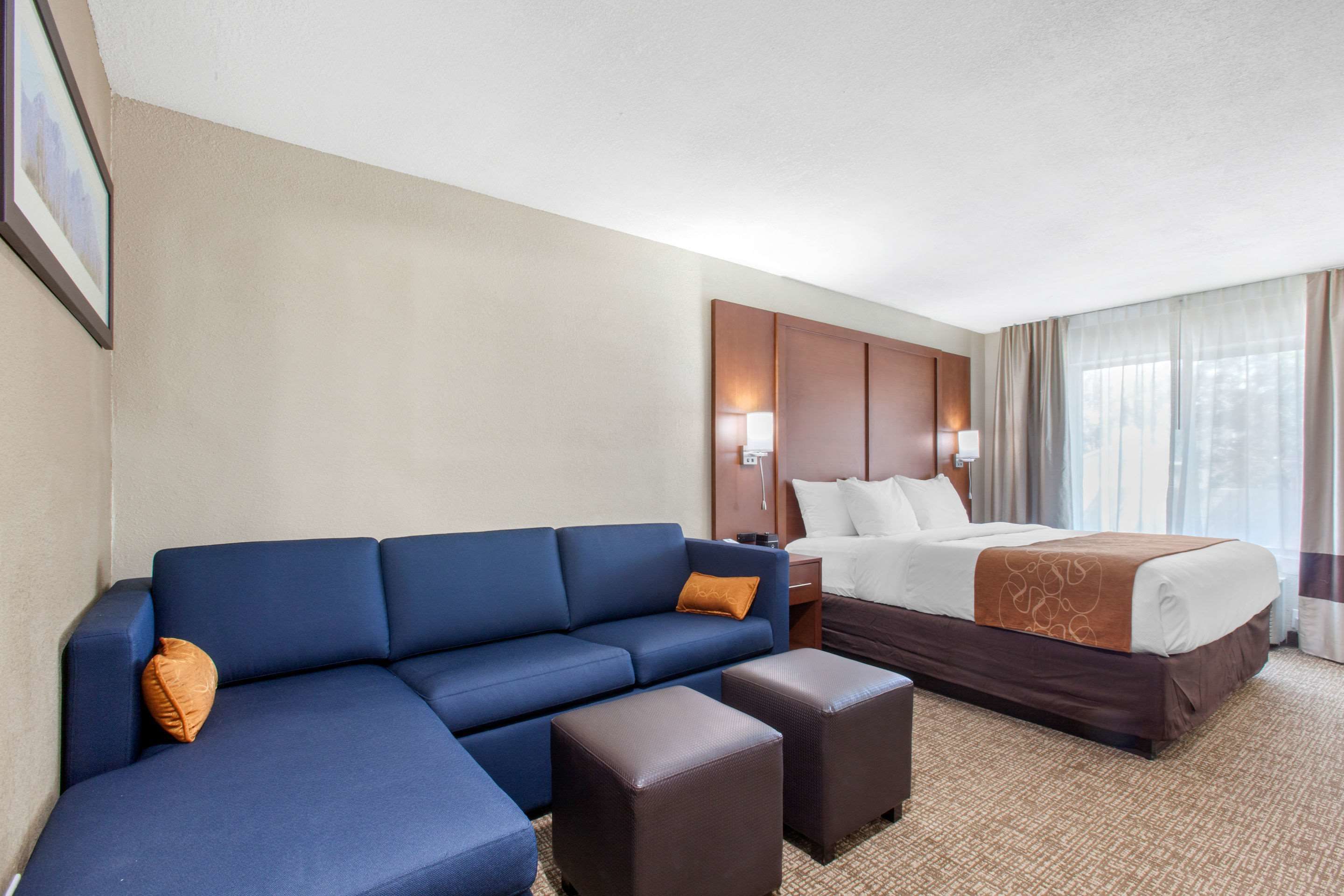 1 King Bed, Suite, Nonsmoking, Accessible