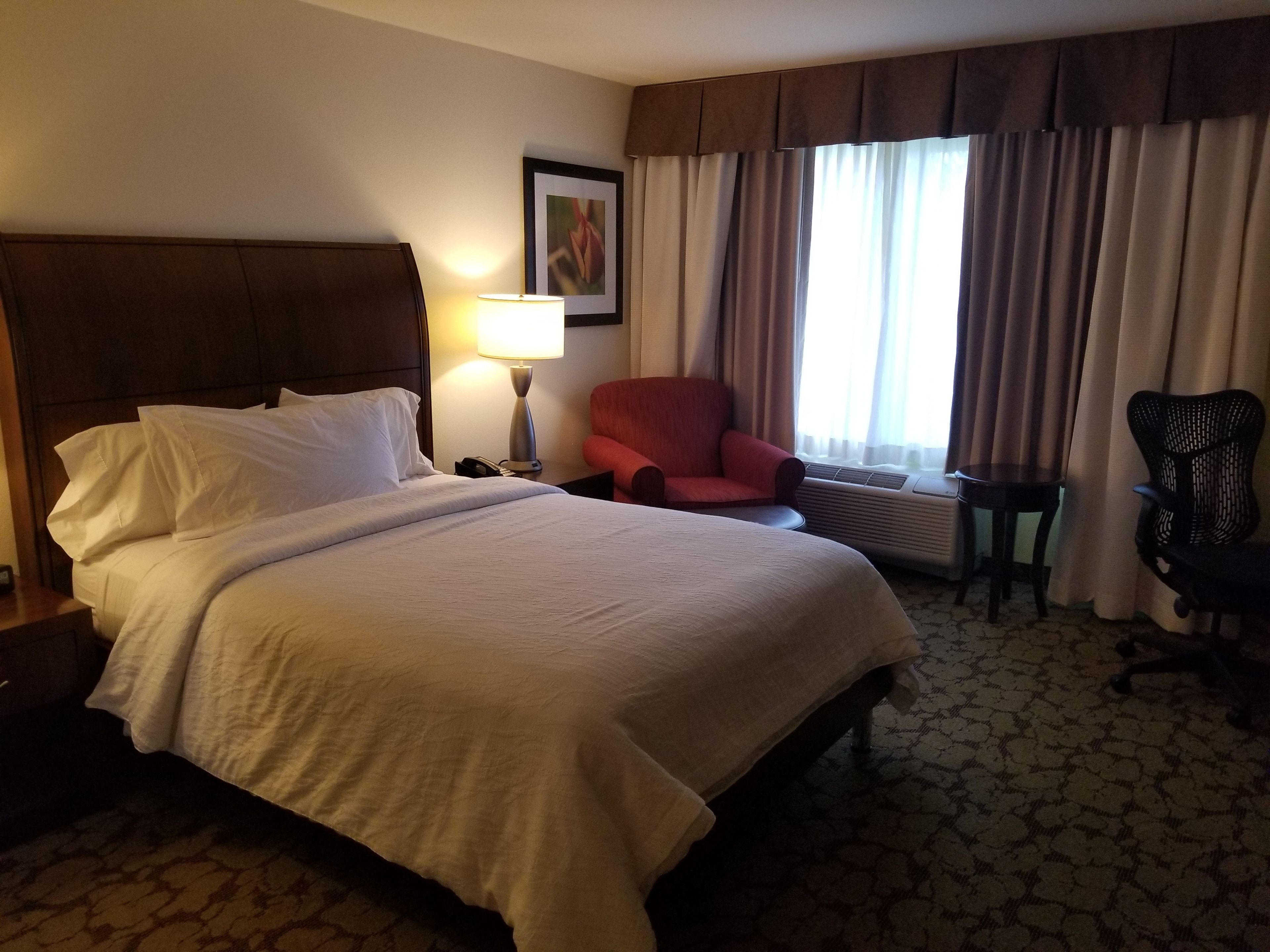 Room, 1 Queen Bed