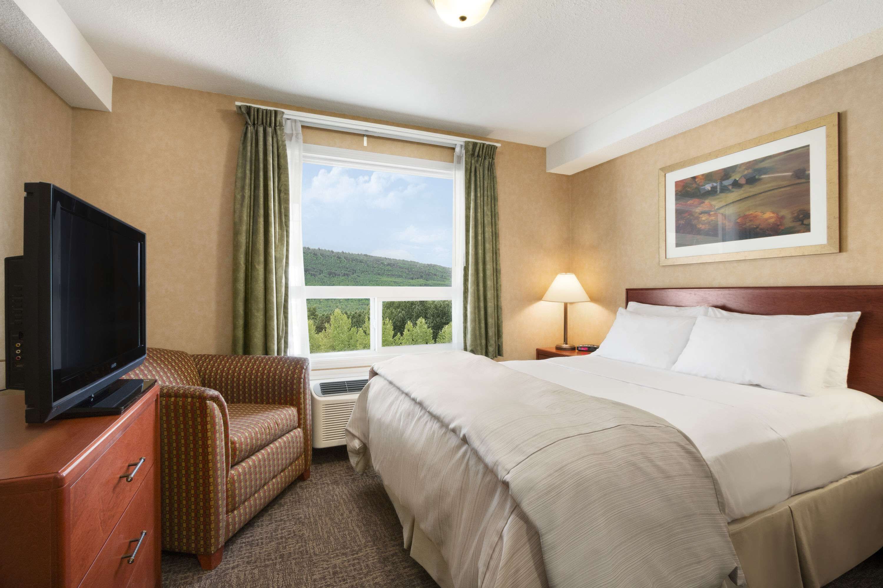Room, 1 Double Bed, Non Smoking