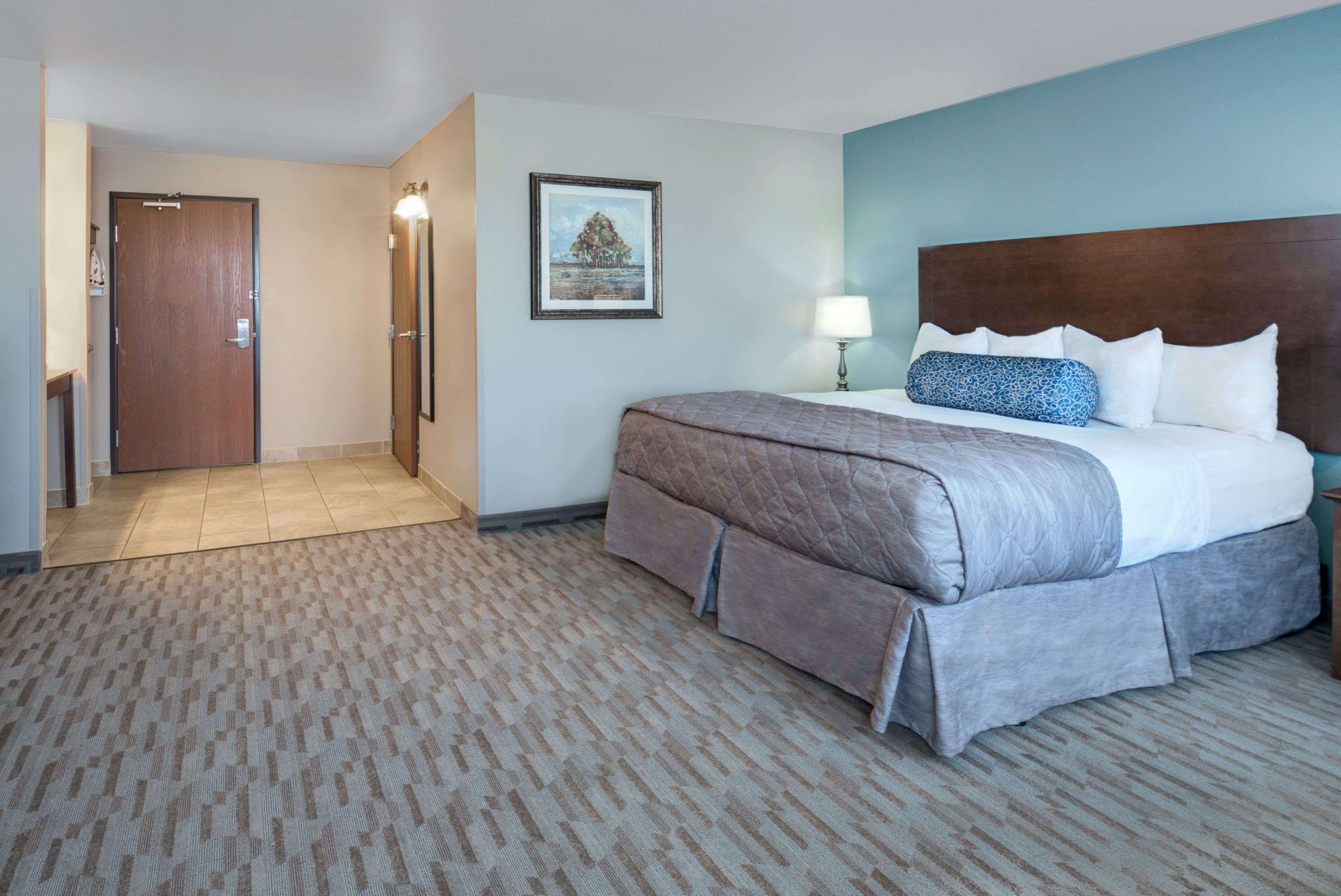 Studio Suite, 1 King Bed, Non Smoking (Mobility Accessible)