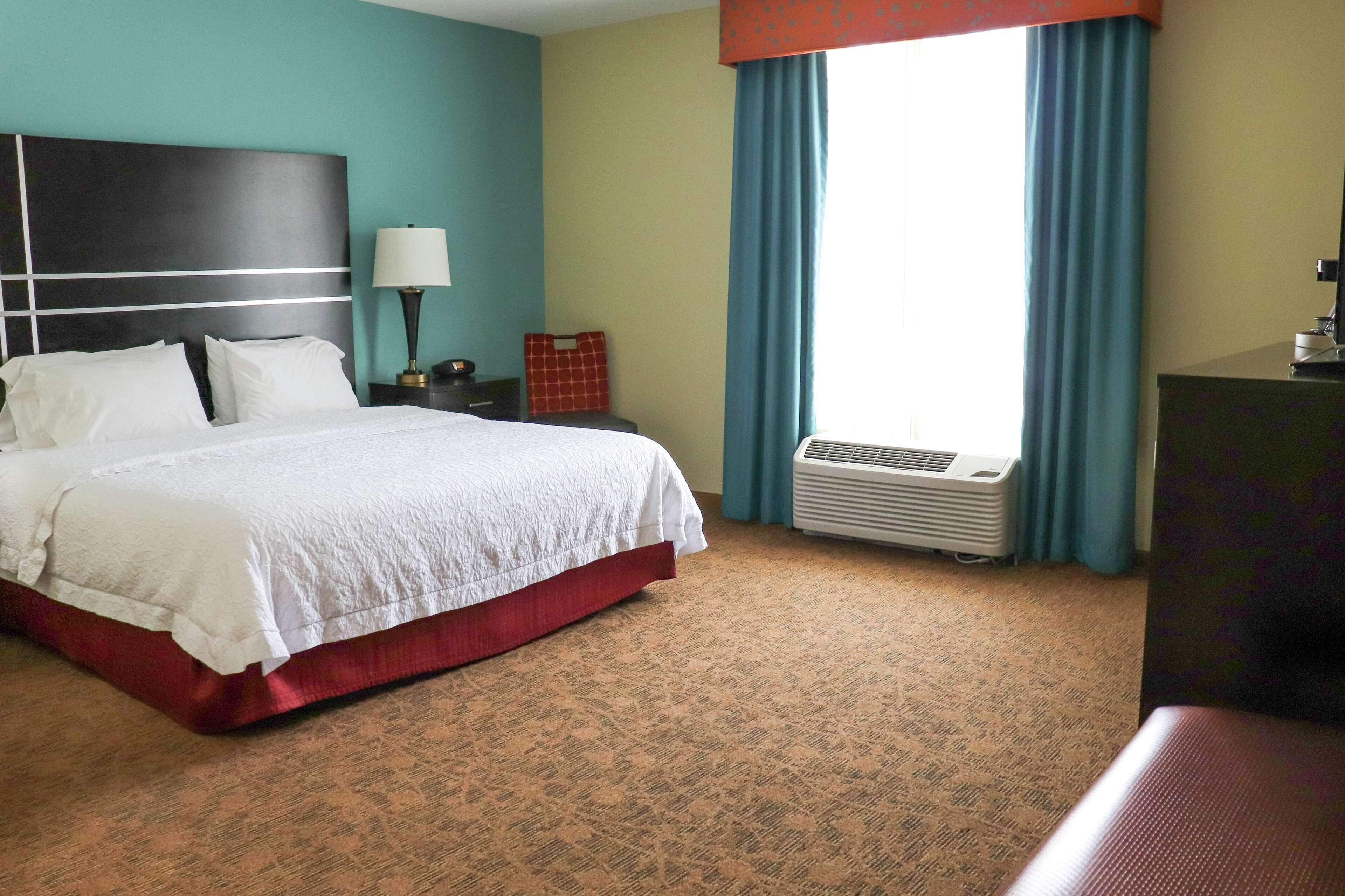 Room, 1 King Bed, Accessible (Mobility & Hearing, Roll-in Shower)