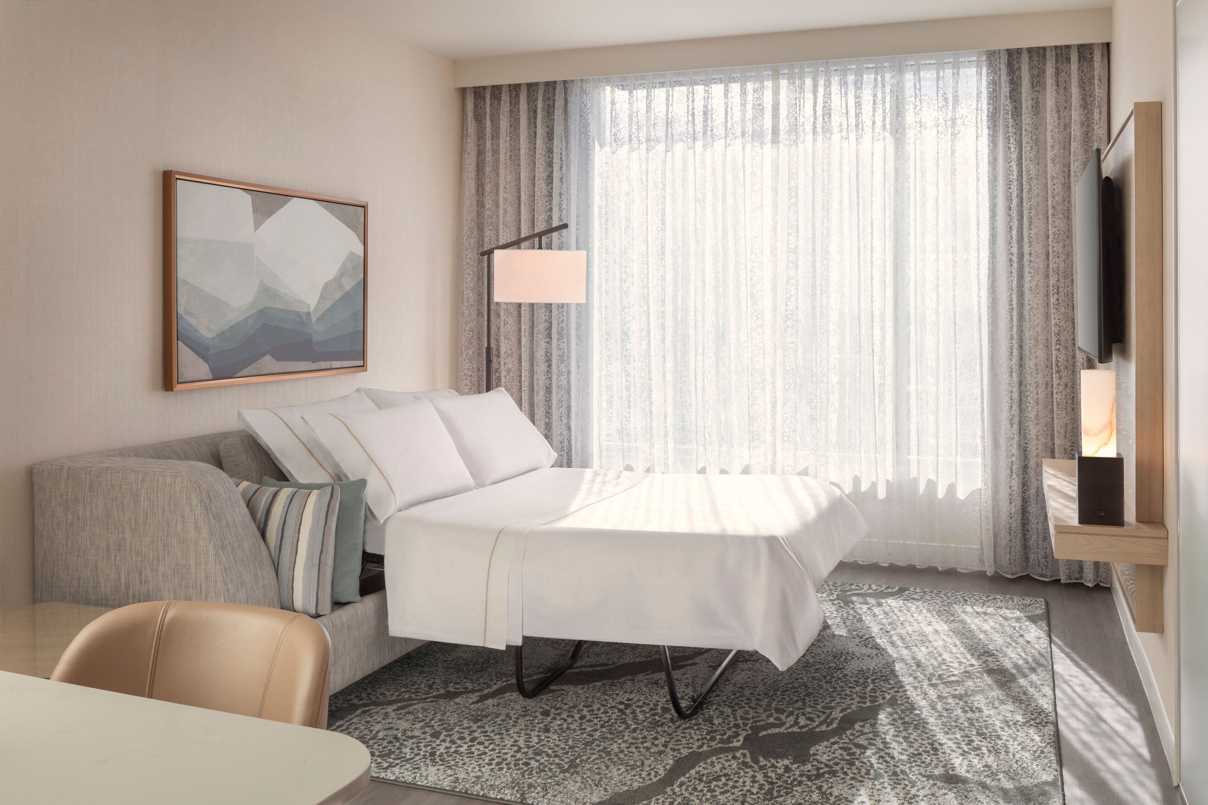 Executive Suite, 1 King Bed with Sofa bed
