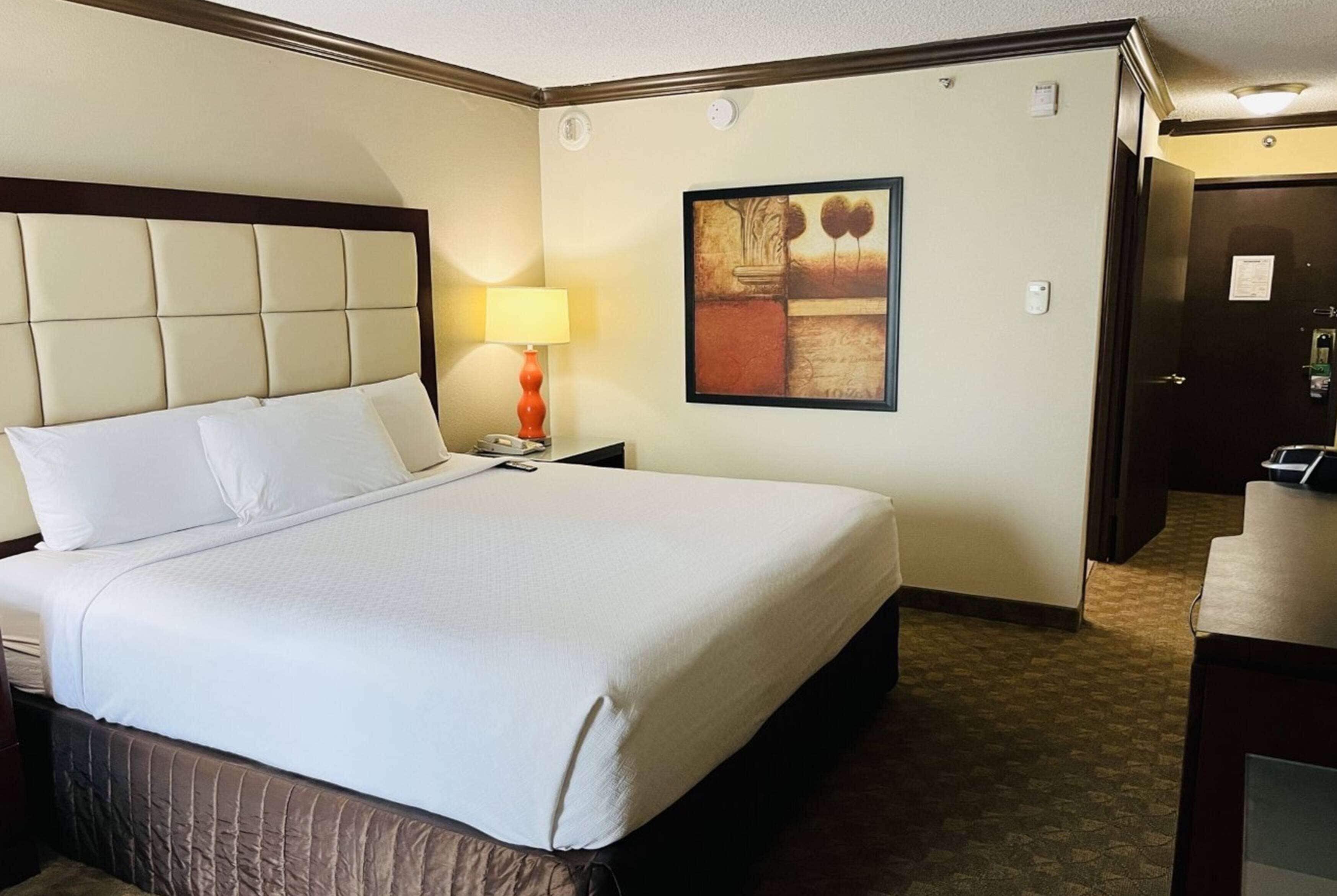 Room, 1 King Bed, Non Smoking