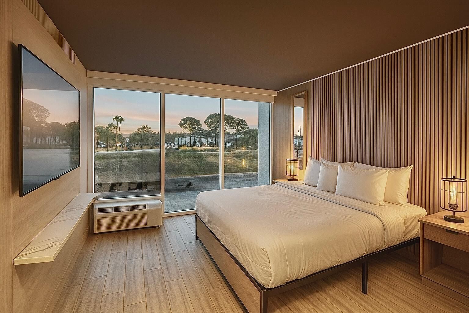 Room, 1 King Bed