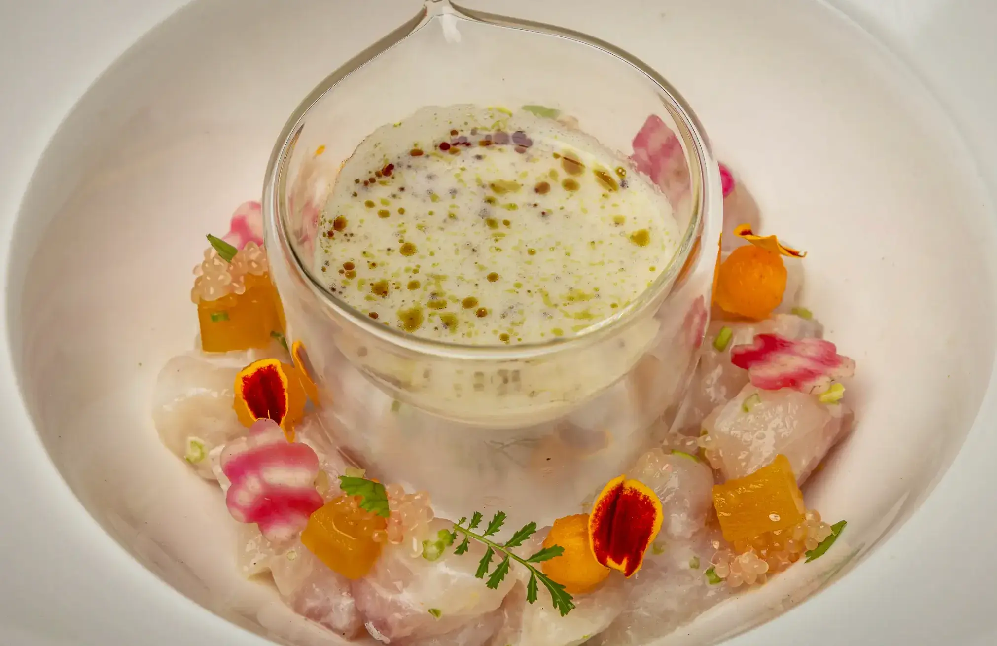 Avize Website Avize Website