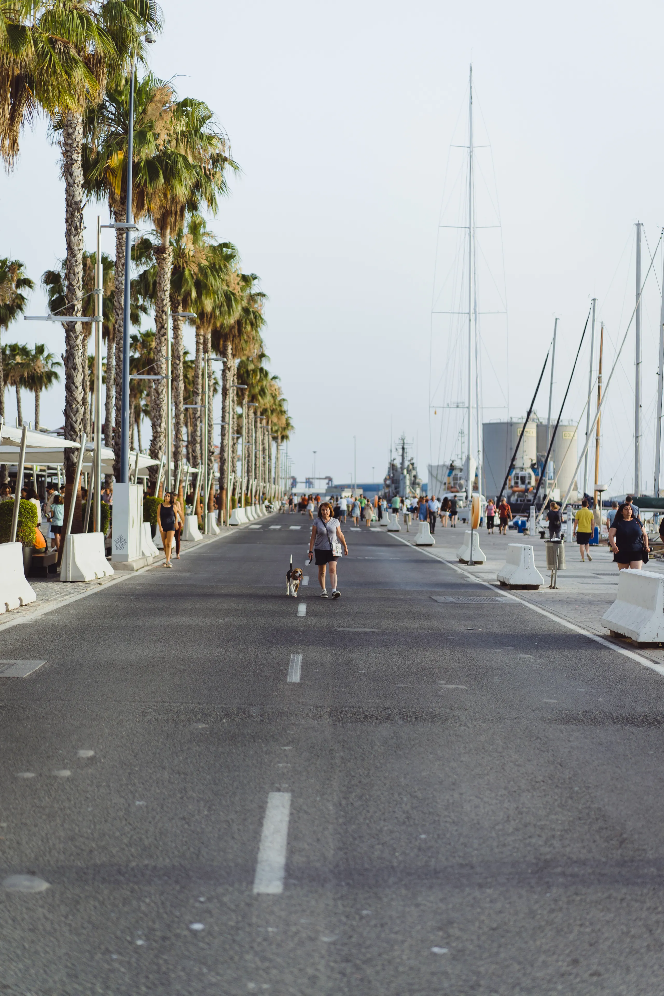 Woman with a dog walks in the port