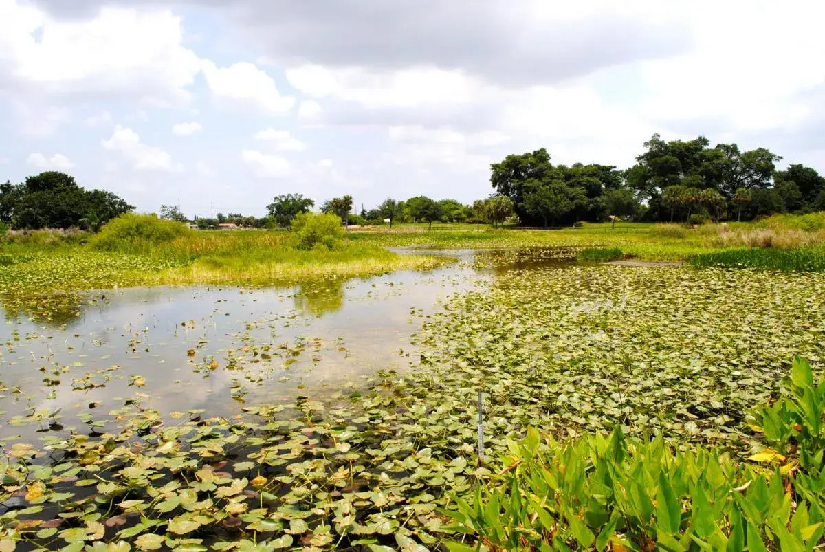 Visit Lauderdale Website Visit Lauderdale Website