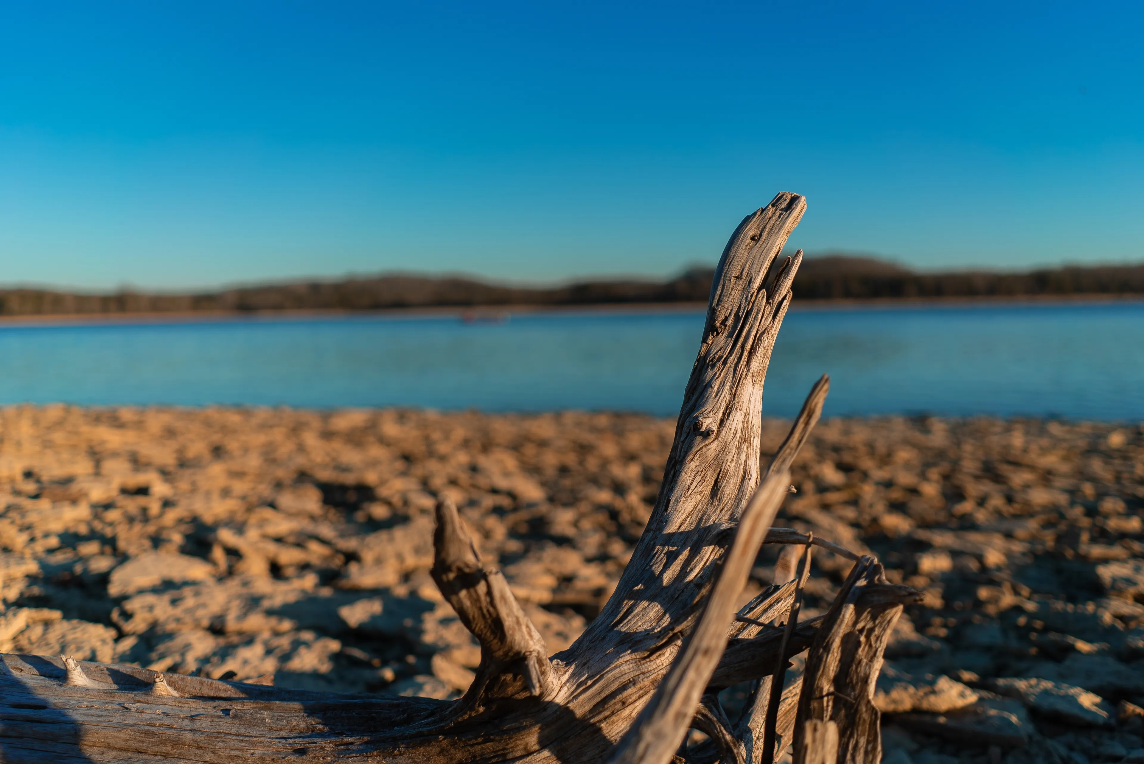 Best Mount Juliet hotels. Cheap hotels in Mount Juliet, Tennessee, United States