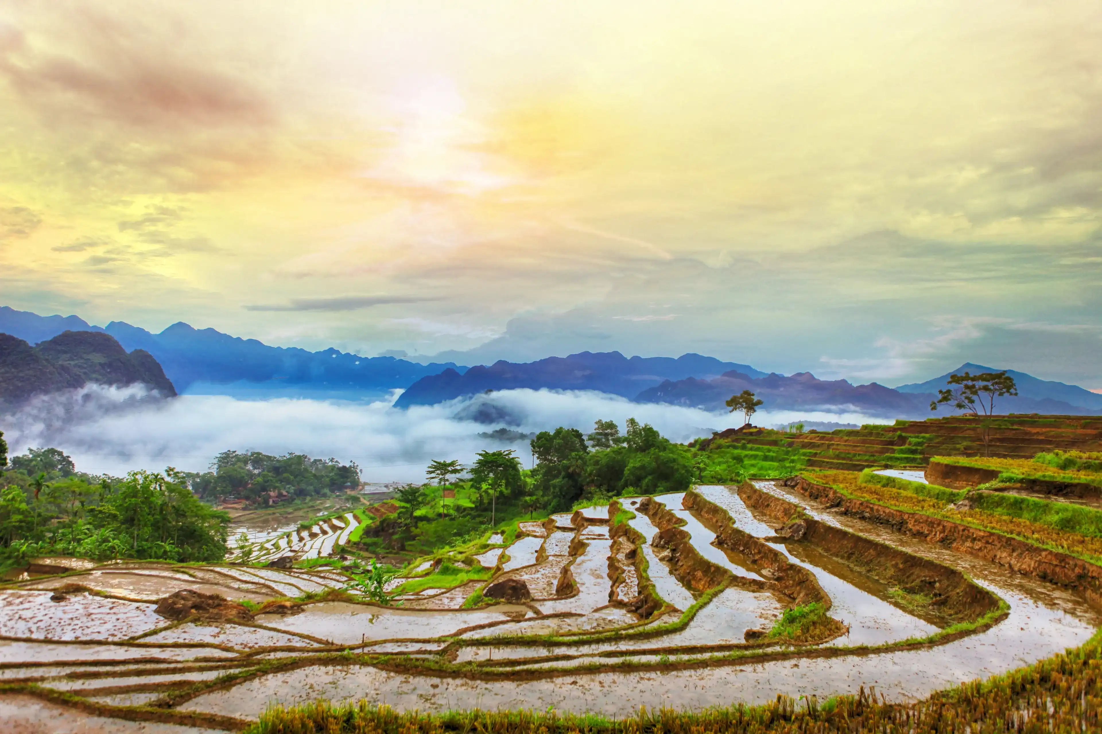 Terraced rice field in water season in Pu Luong, Thanh Hoa, Vietnam.