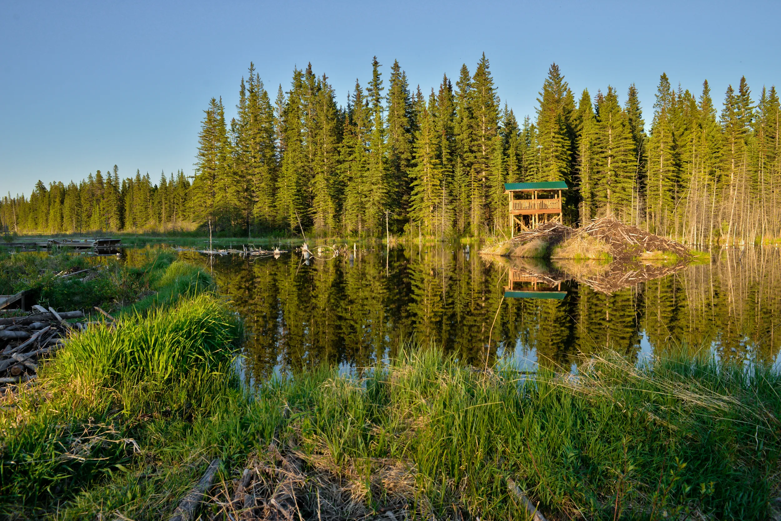 Best Hinton hotels. Cheap hotels in Hinton, Alberta, Canada