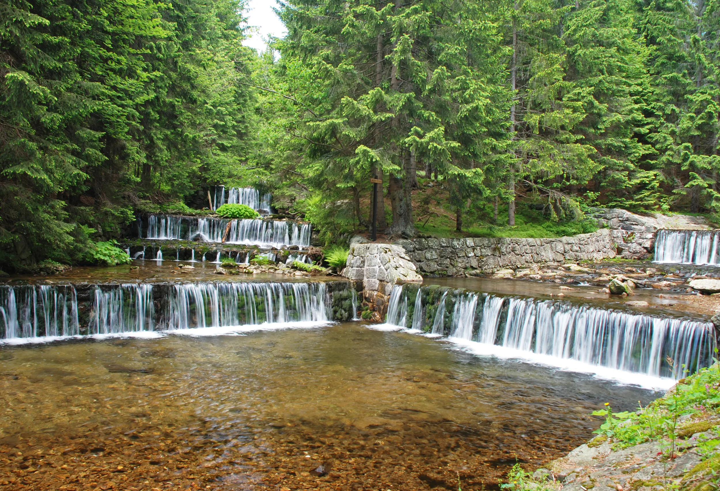 Modry potok and river upa in Obri dul area, Krkonose national park (English: Giant Mountains), Czech republic.