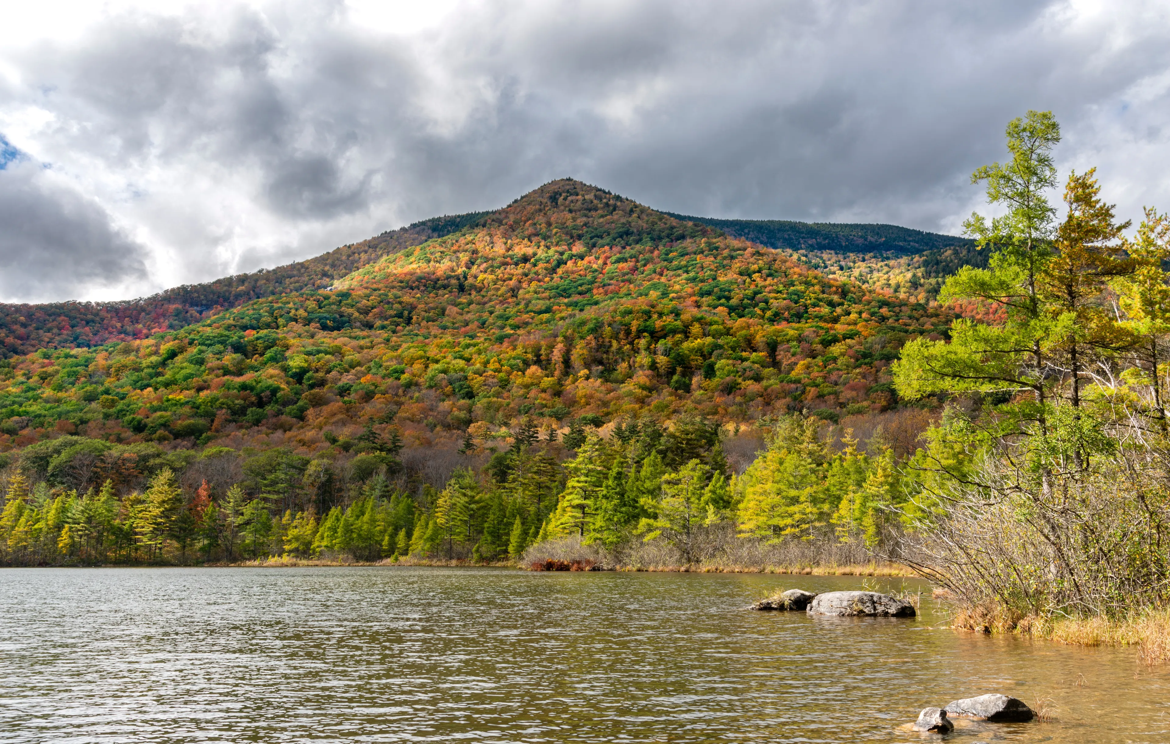 Best Manchester Center hotels. Cheap hotels in Manchester Center, Vermont, United States