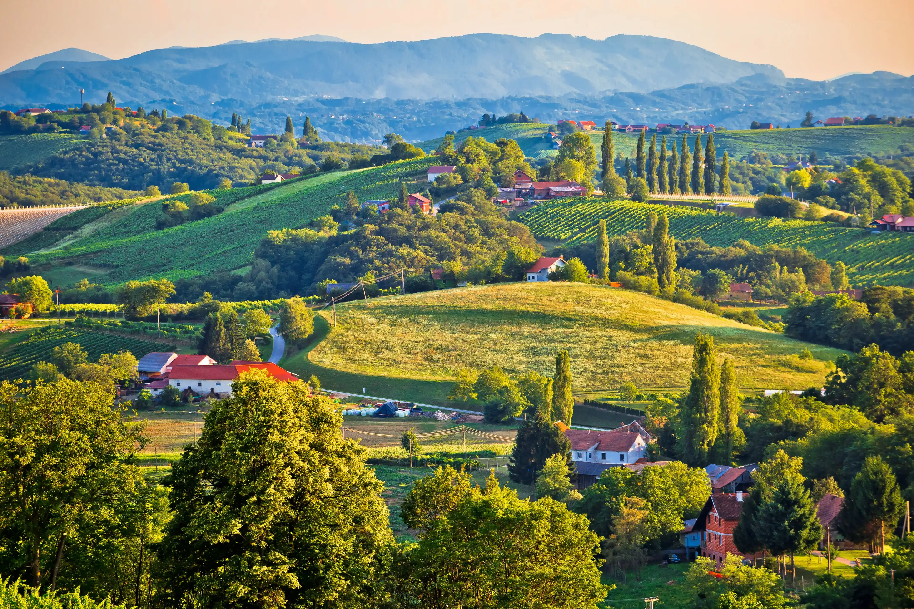 Green landscape of Medjimurje region view from hill, northern Croatia