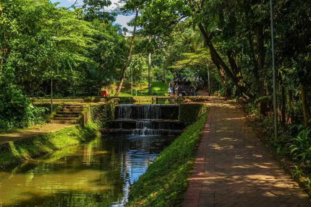 GOIANIA GOIAS BRAZIL - MARCH 04 2023: Water course with lots of vegetation and trees in Bosque dos Buritis in Goiânia. GOIANIA GOIAS BRAZIL - MARCH 04 2023: Water course with lots of vegetation and trees in Bosque dos Buritis in Goiânia.