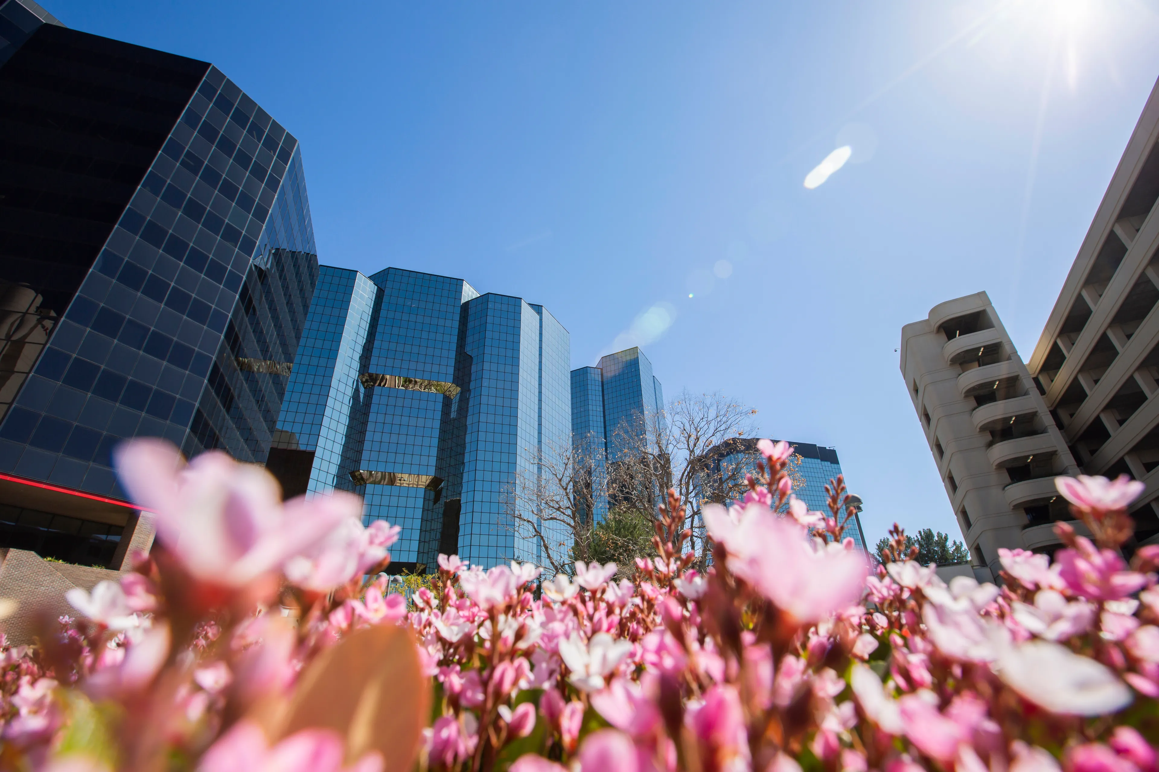 Daytime skyline view of the Woodland Hills area of Los Angeles, California, USA.