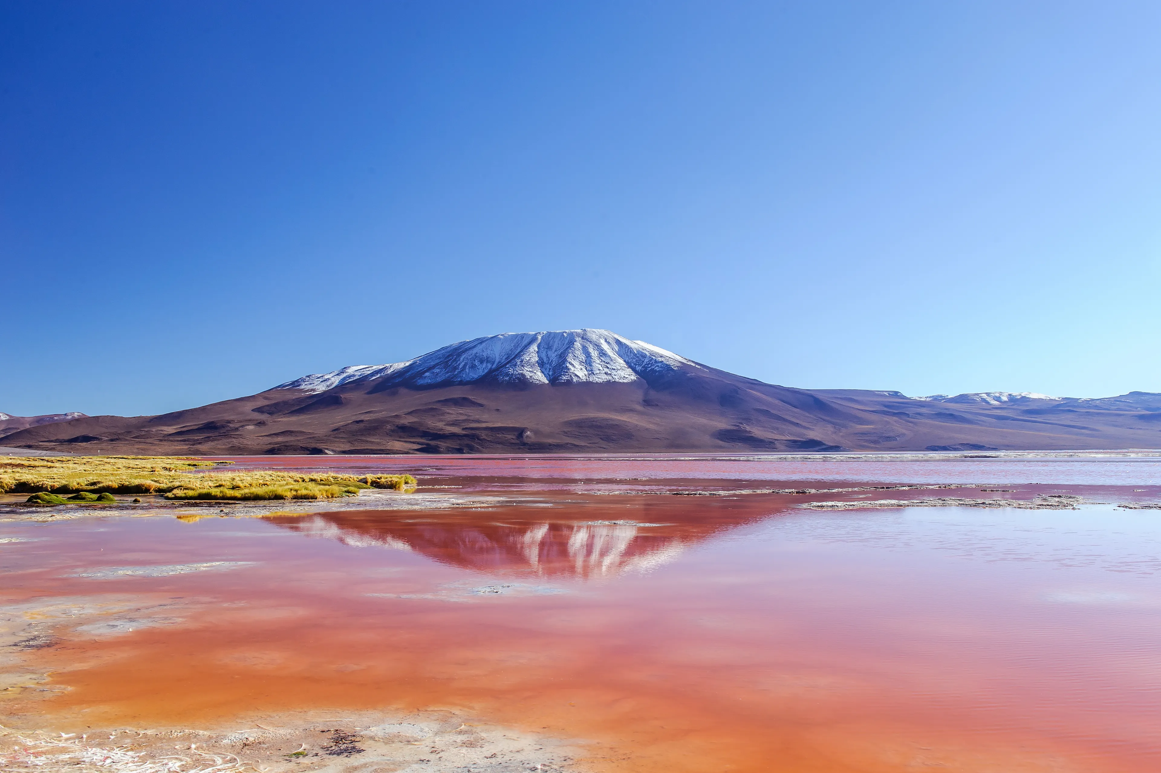 Flamingos wintering in Laguna Colorada, Bolivia, altiplano