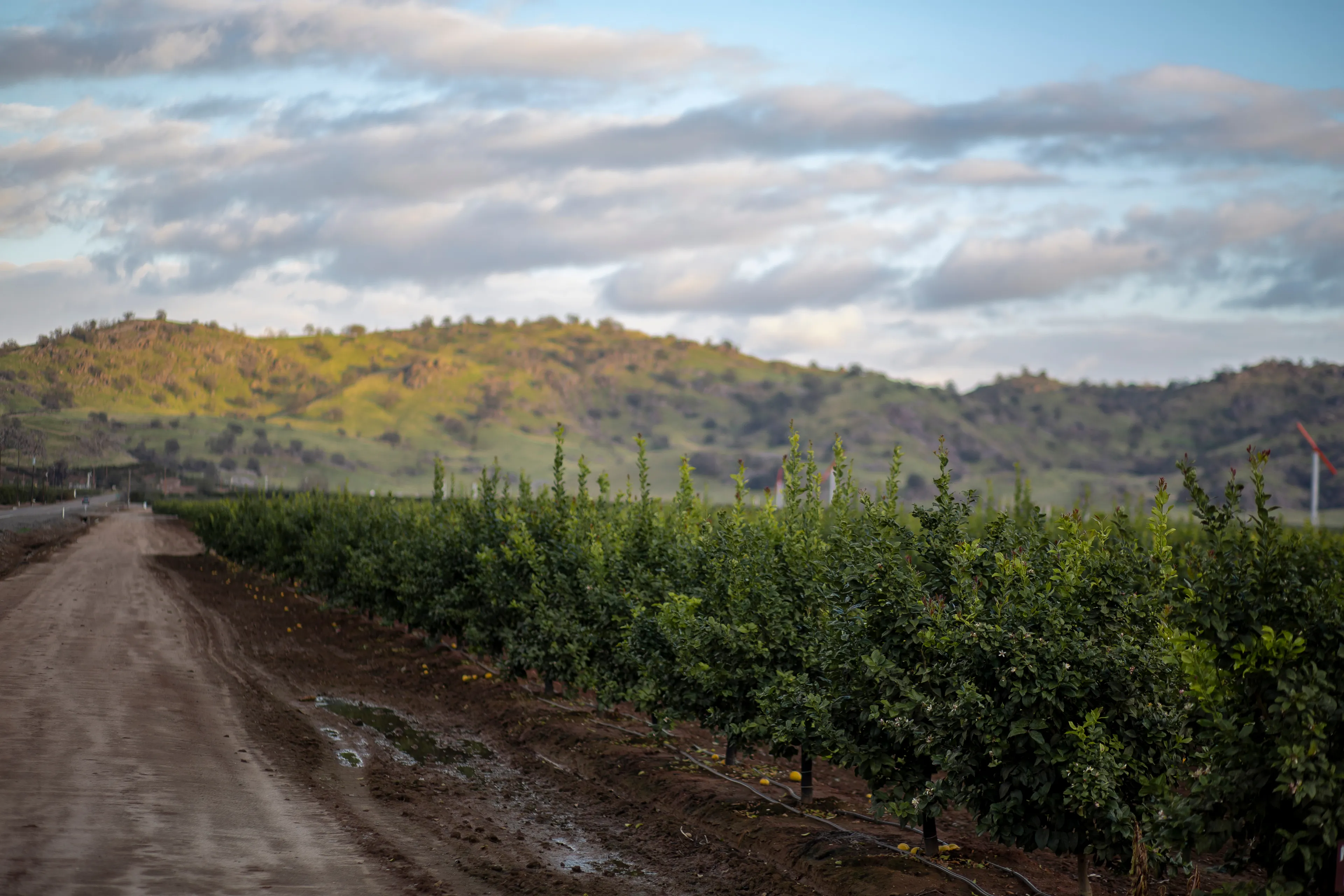 Best Visalia hotels. Cheap hotels in Visalia, California, United States