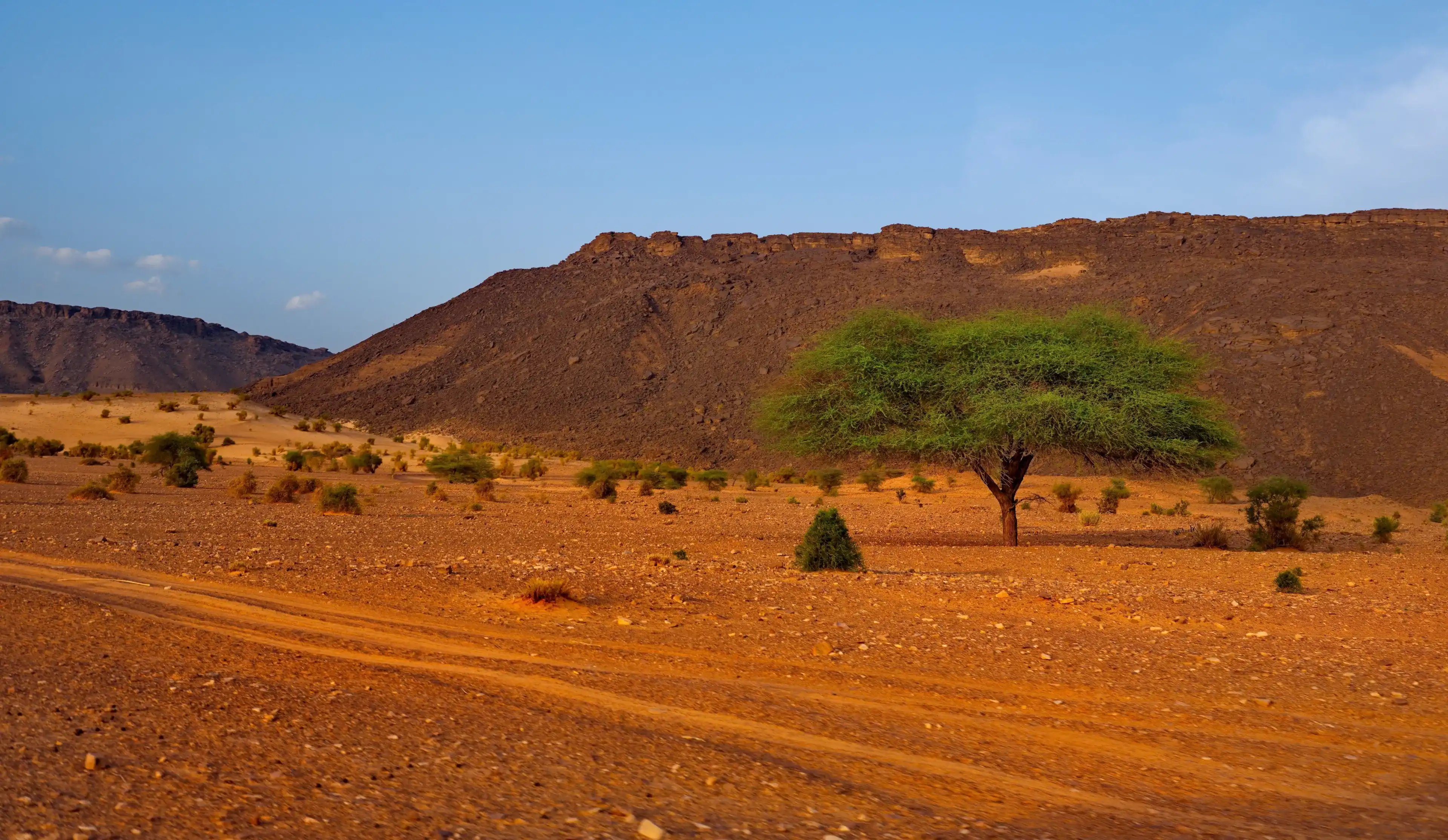 West Africa. Mauritania. Covered by the sands of the Sahara Desert, the valley of a dried-up river near the famous Terzhit oasis. West Africa. Mauritania. Covered by the sands of the Sahara Desert, the valley of a dried-up river near the famous Terzhit oasis.