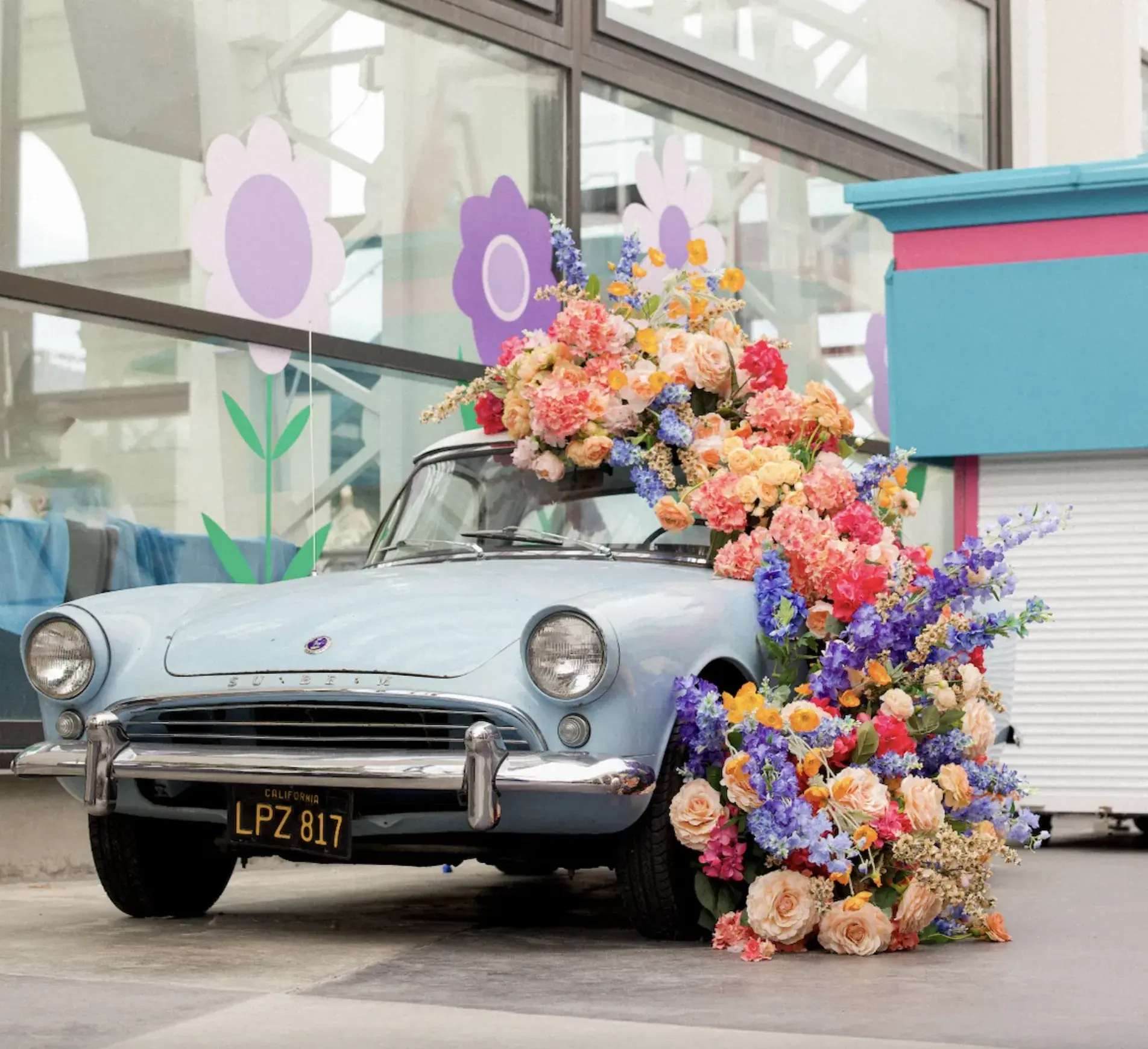 Belmont Park Website Belmont Park Website