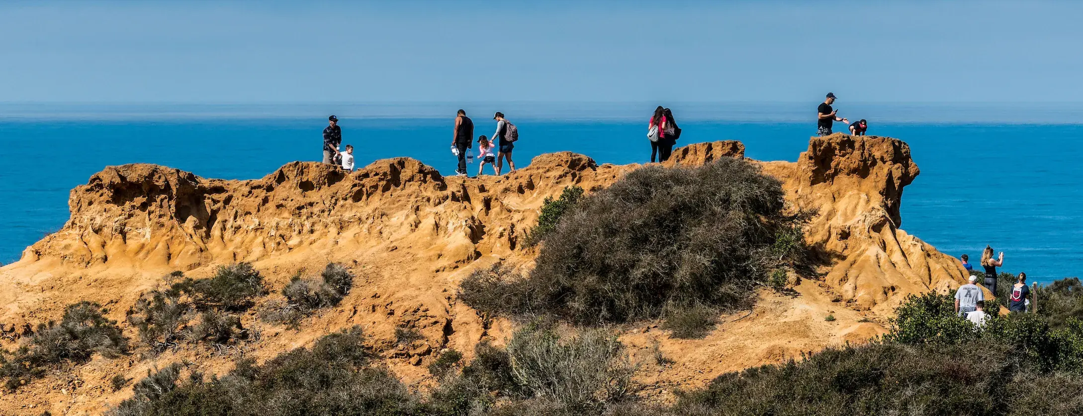 Torrey Pines State Natural Reserve Website Torrey Pines State Natural Reserve Website